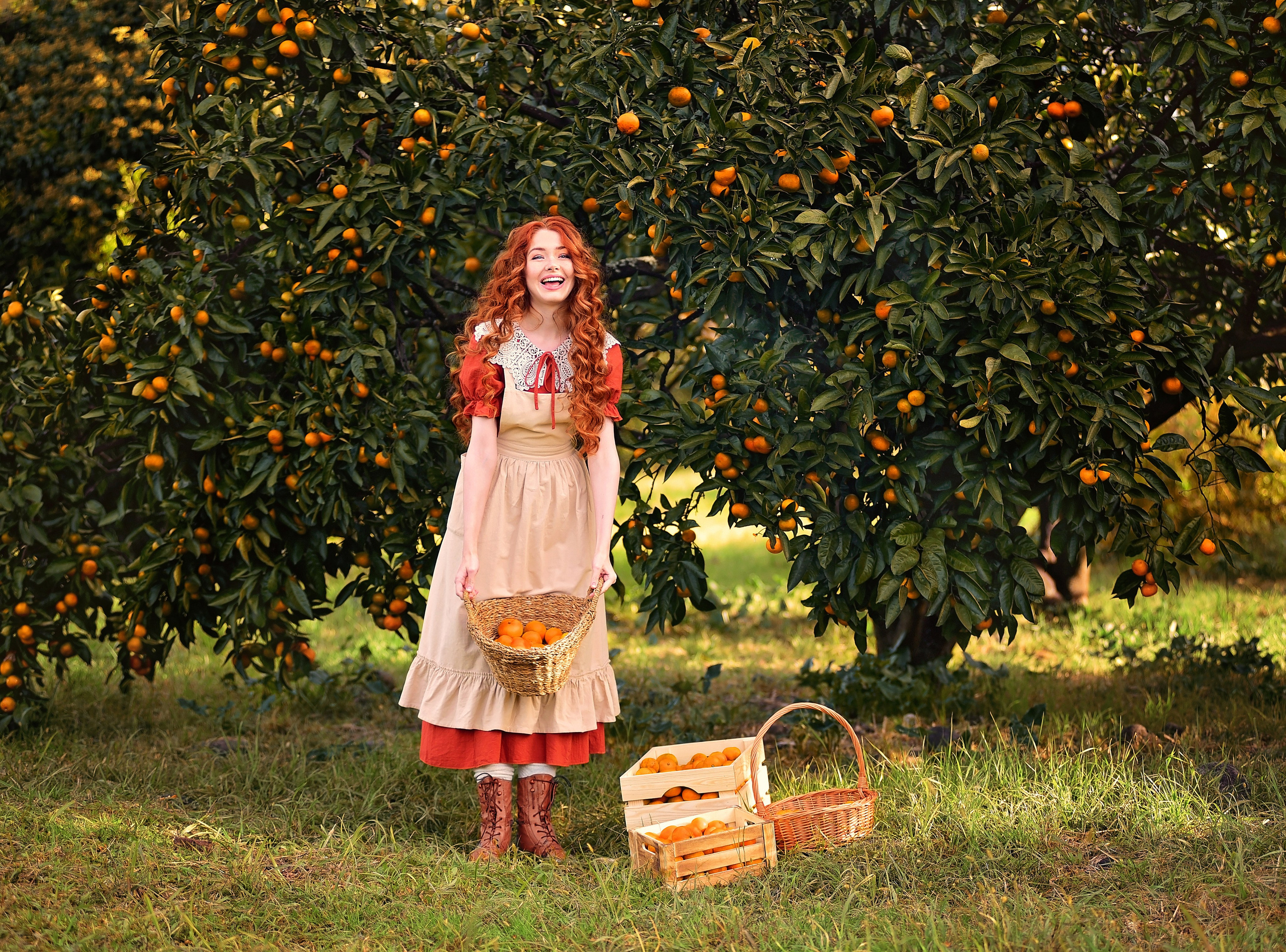 Мандарины. Главная