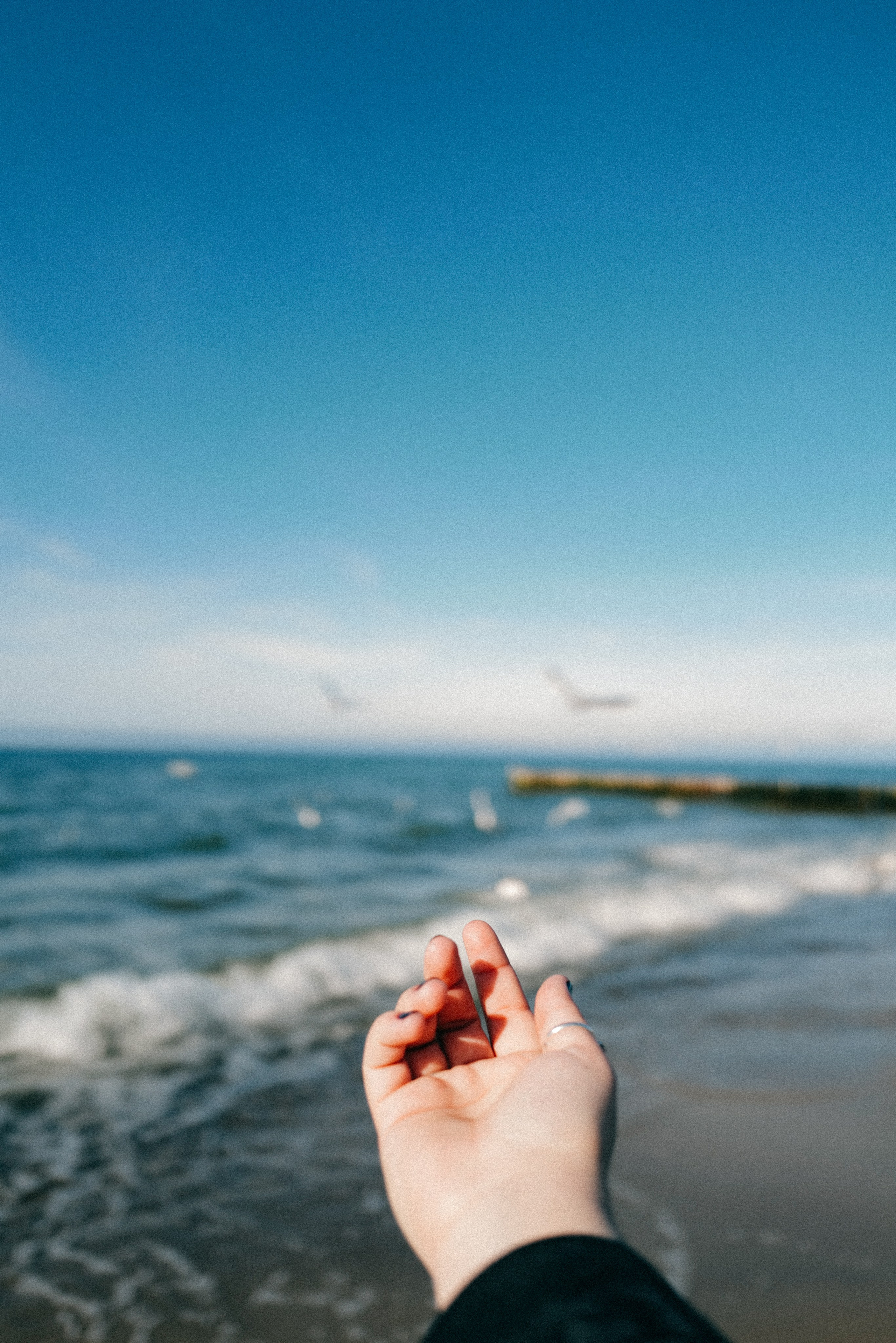 Zelenogradsk. Фотограф София Комкина