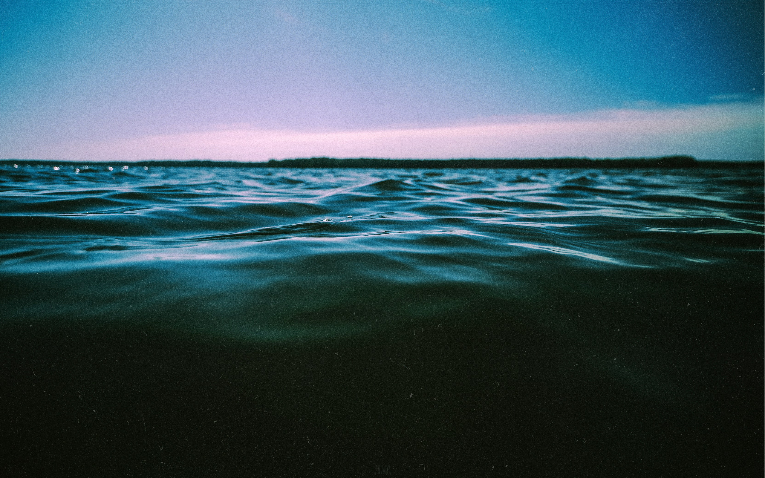 N a t u r e. Your photographer