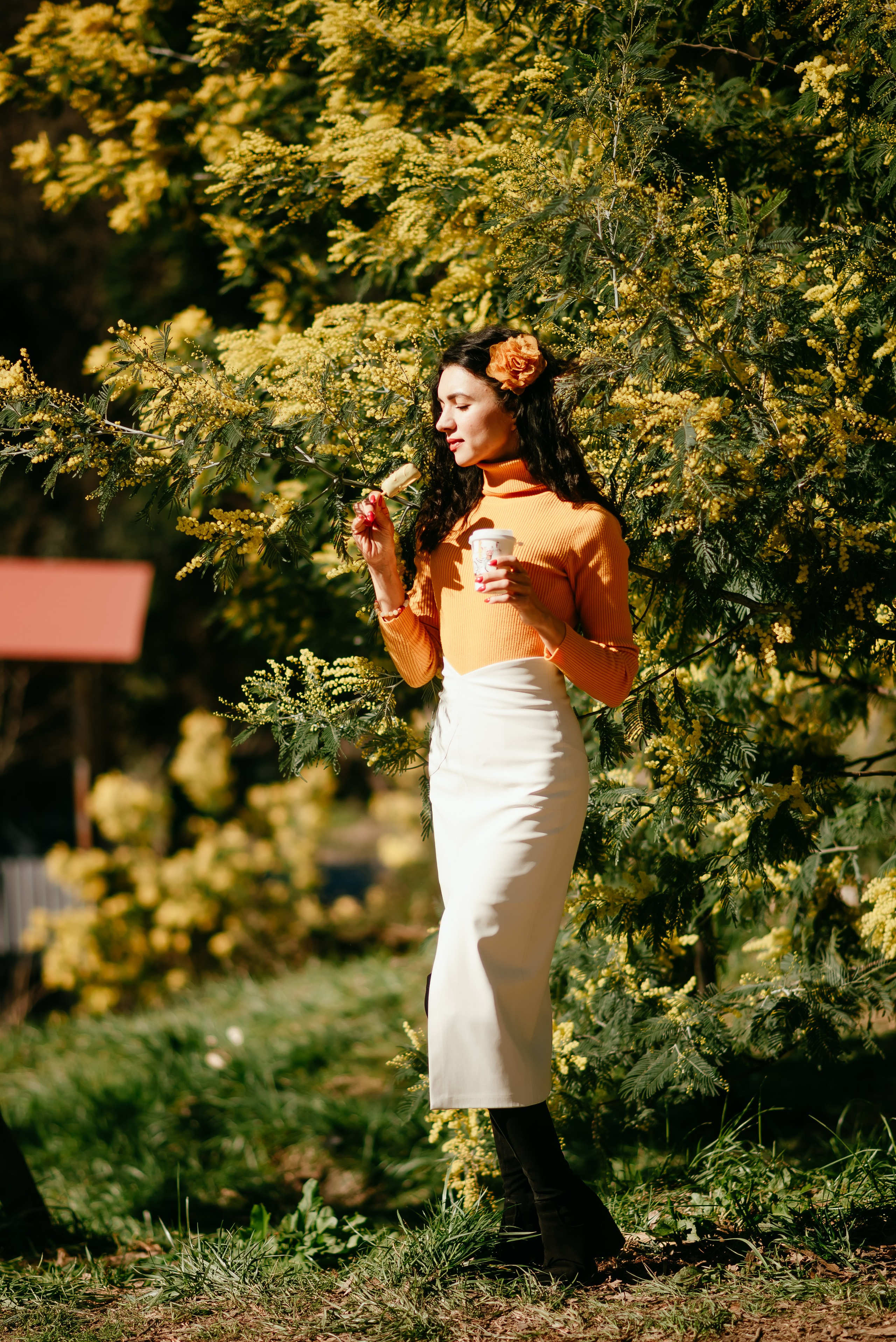 Мимоза. Семейный и женский фотограф Лоо Краснодар Сочи Энем Татьяна Трибурт
