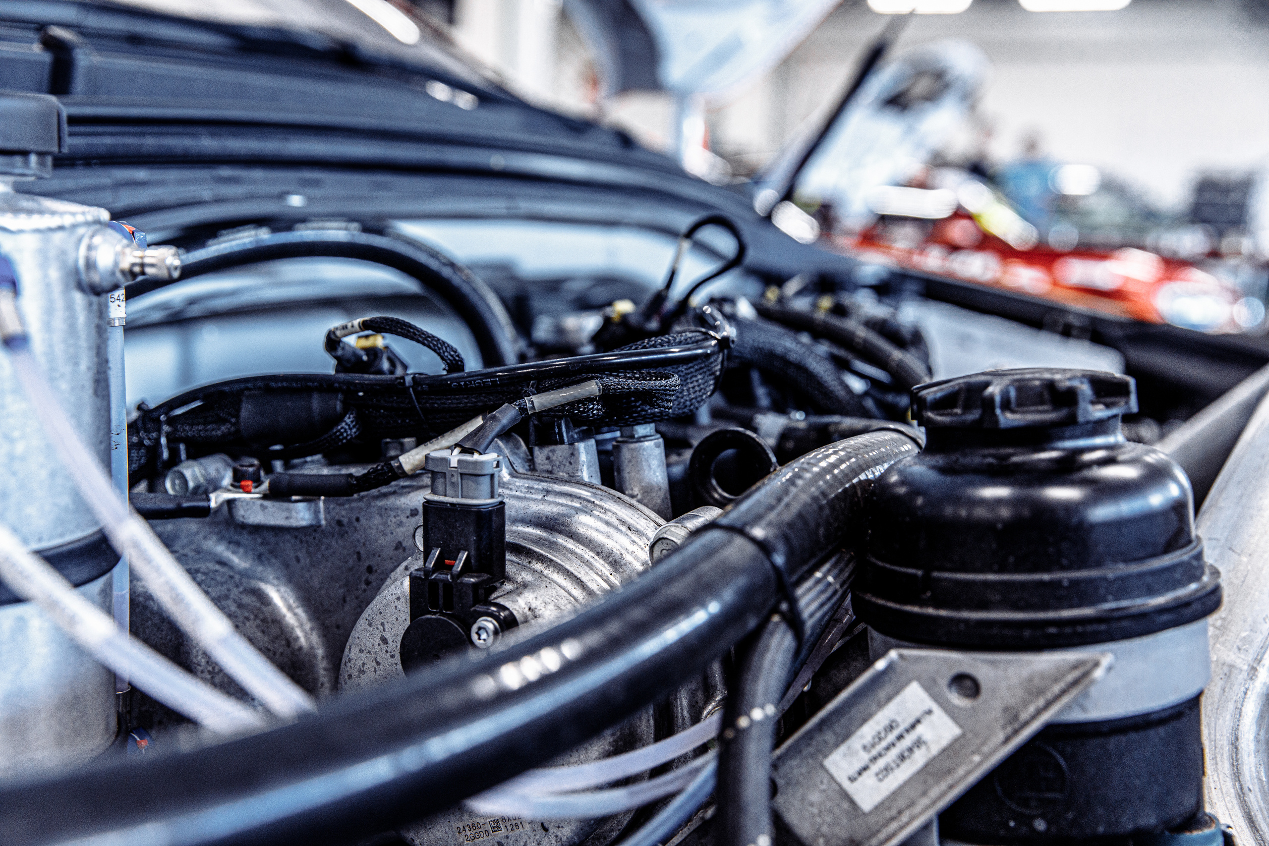 Carville Racing. Ева Демидова. Спортсмен по конкуру в Санкт-Петербуре