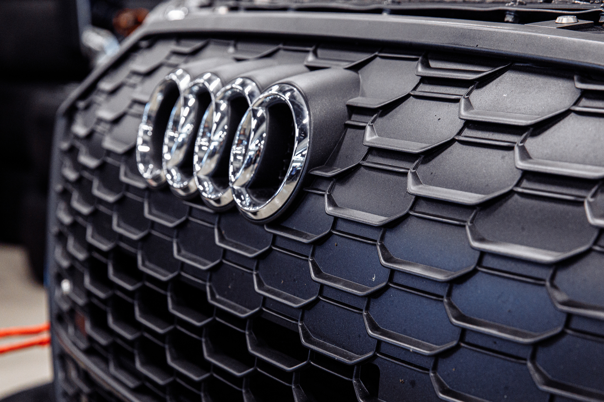 Carville Racing. Ева Демидова. Спортсмен по конкуру в Санкт-Петербуре