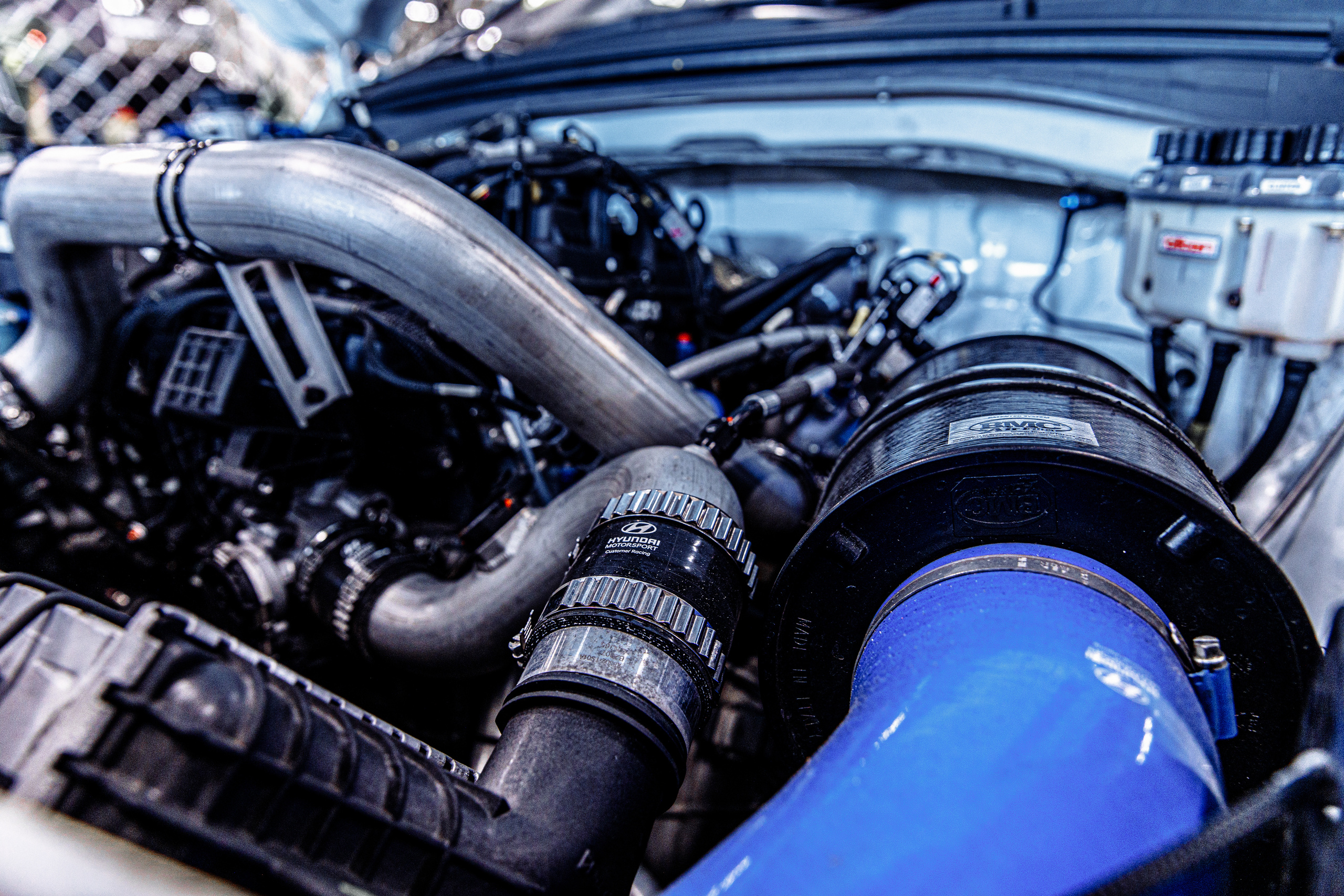 Carville Racing. Ева Демидова. Спортсмен по конкуру в Санкт-Петербуре