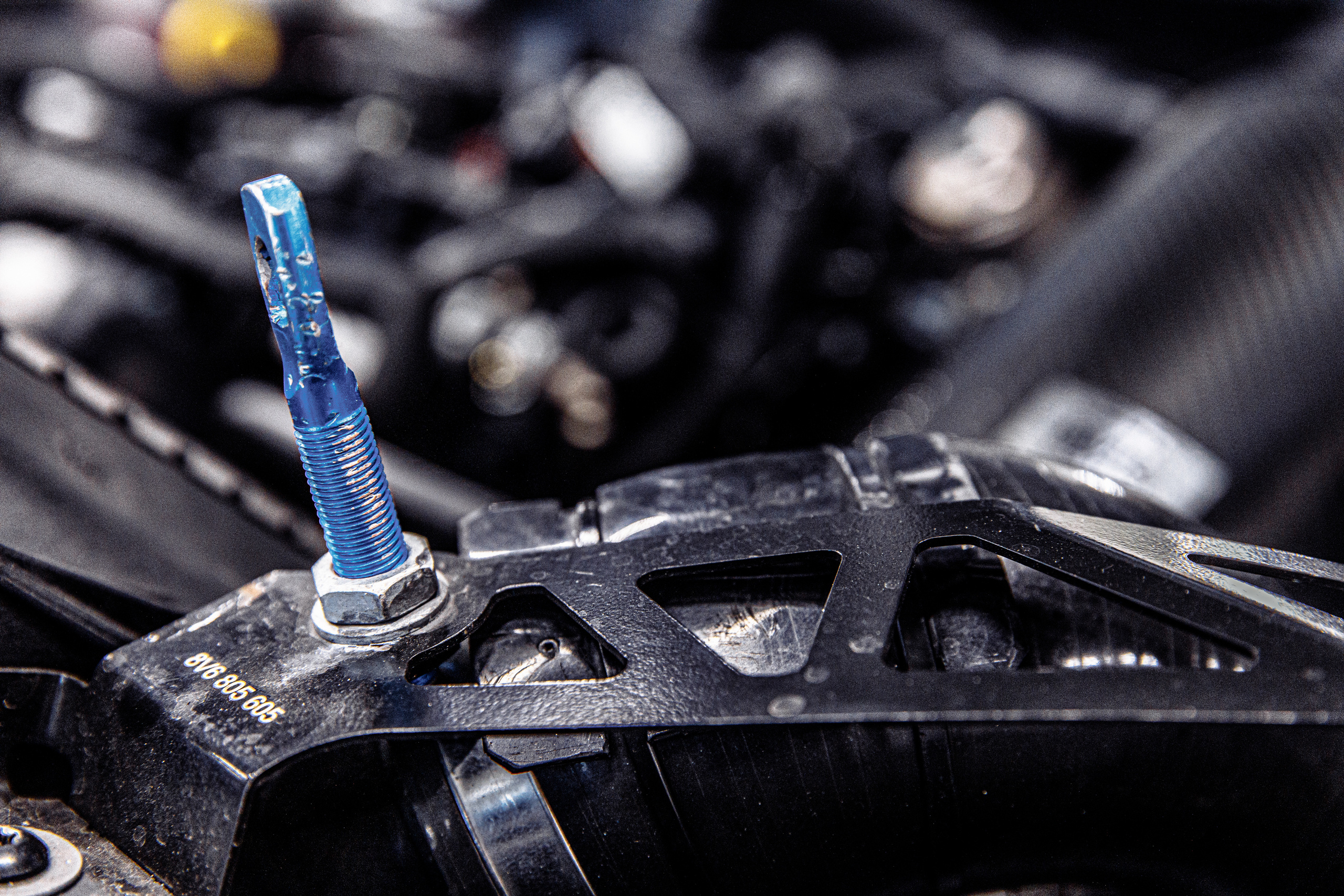 Carville Racing. Ева Демидова. Спортсмен по конкуру в Санкт-Петербуре