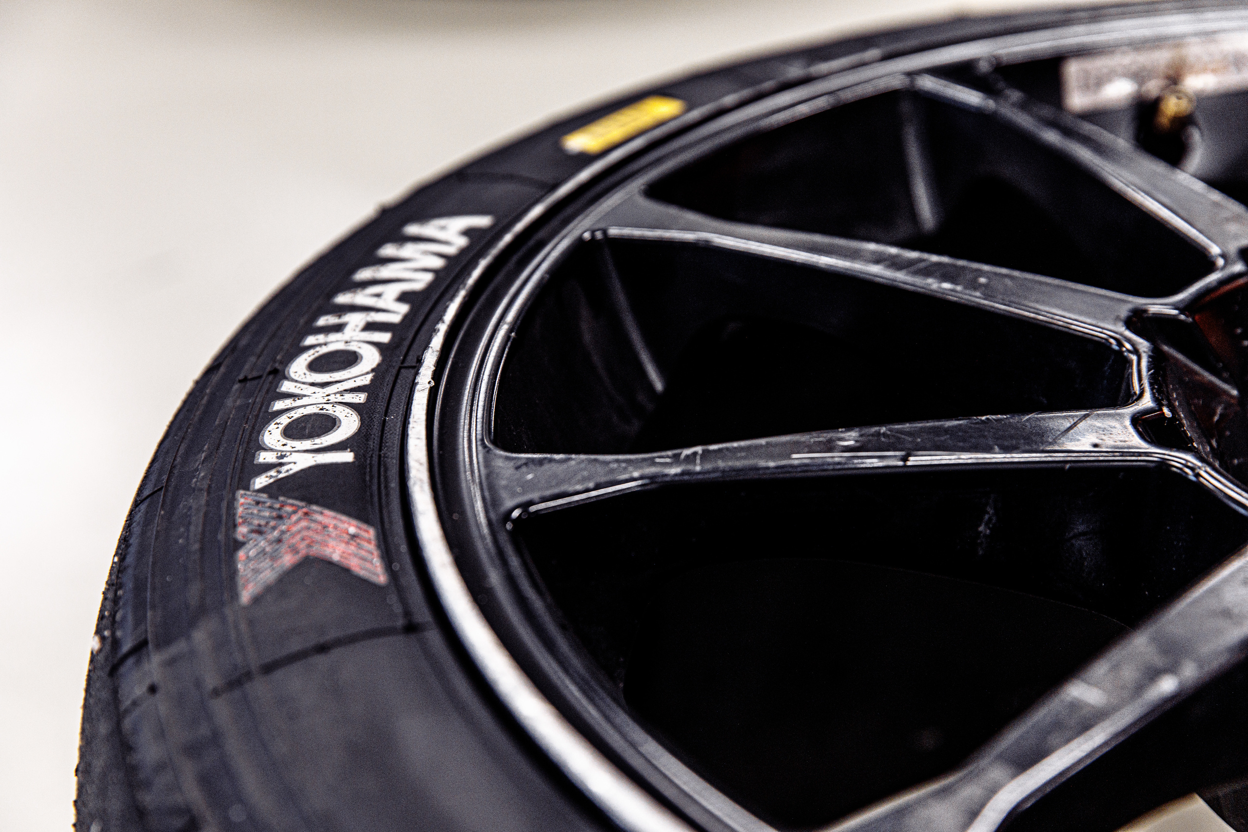 Carville Racing. Ева Демидова. Спортсмен по конкуру в Санкт-Петербуре