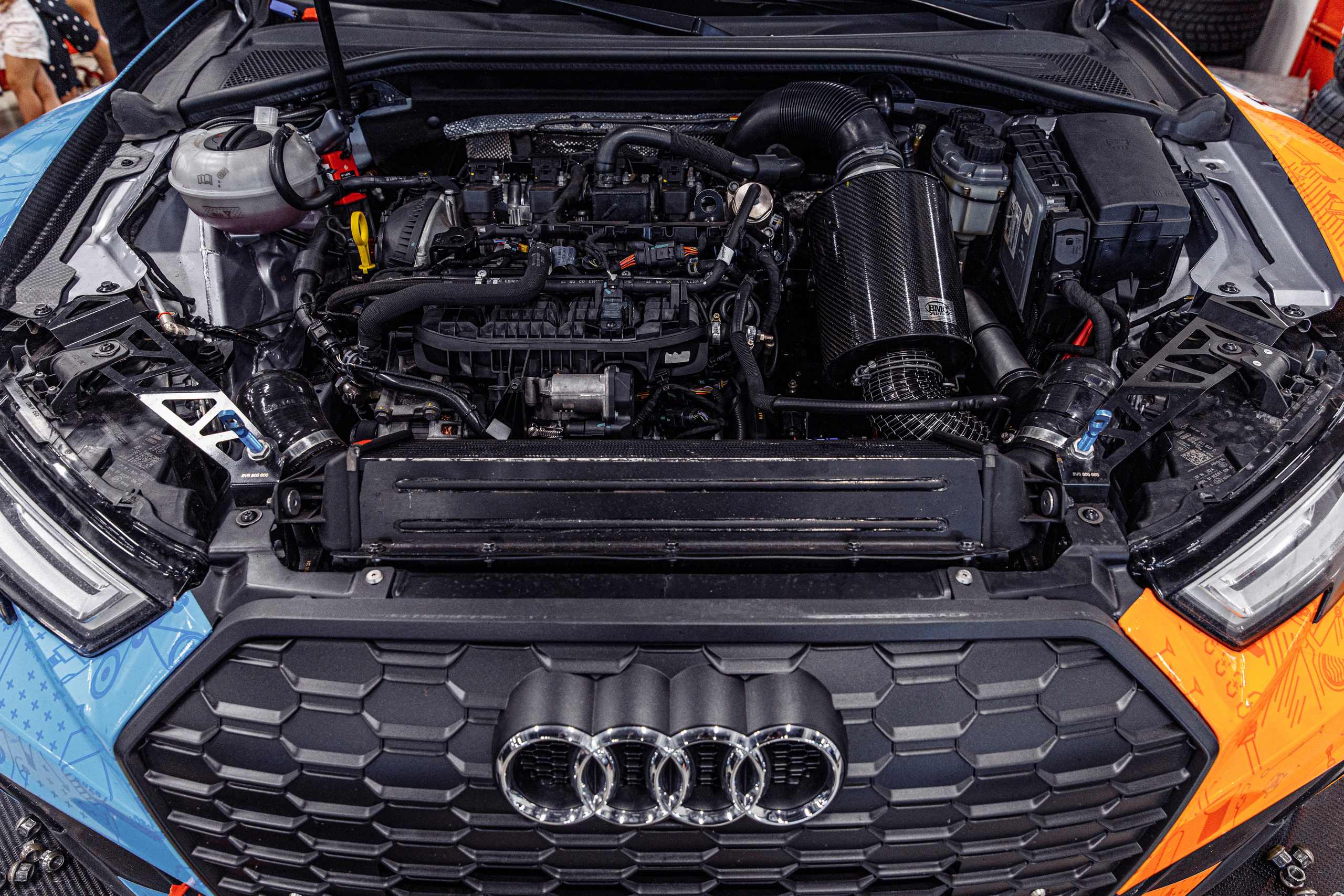 Carville Racing. Ева Демидова. Спортсмен по конкуру в Санкт-Петербуре