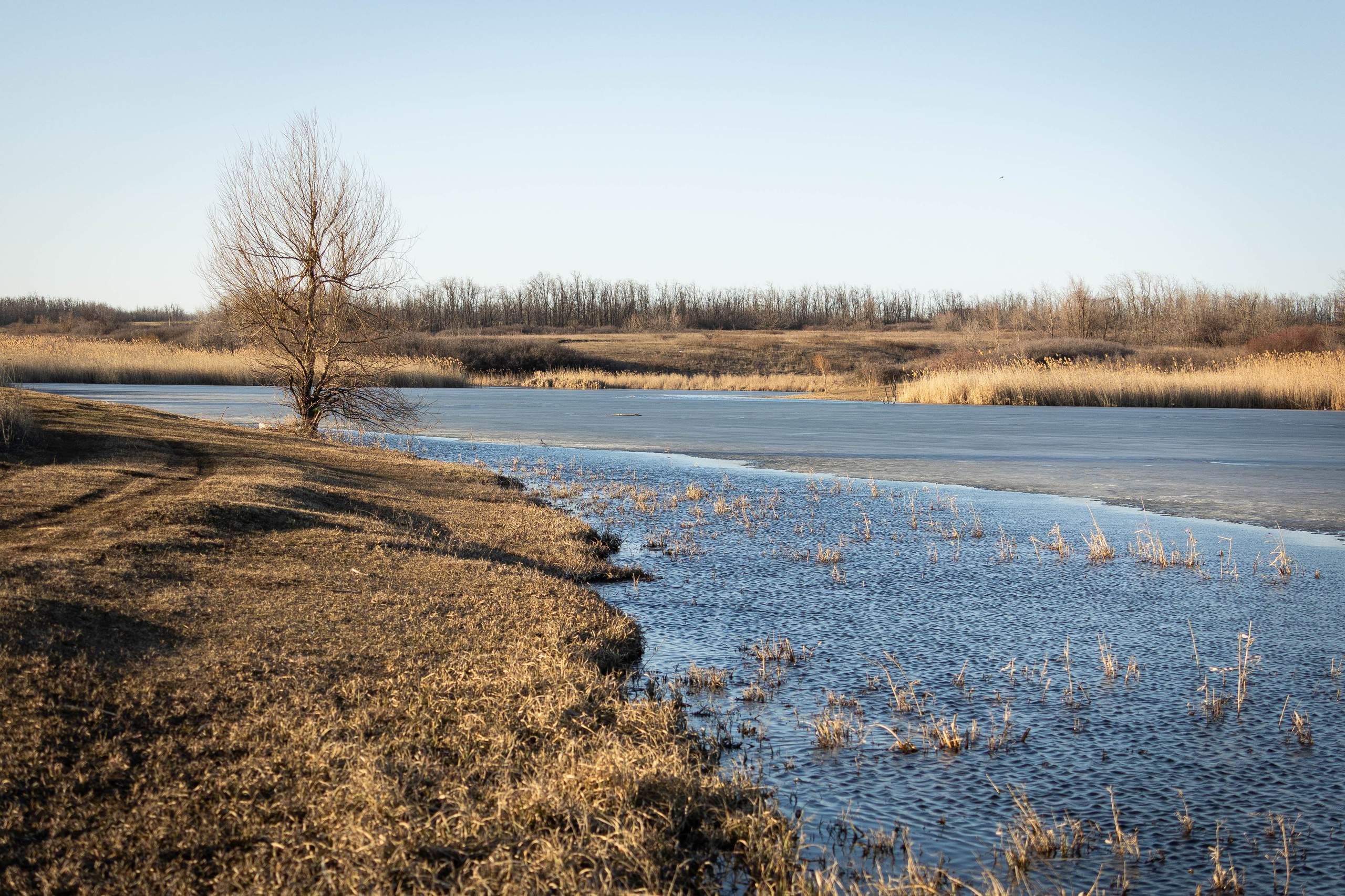 Дикий животный мир. Фотограф-АниМалист Анна Абрамова