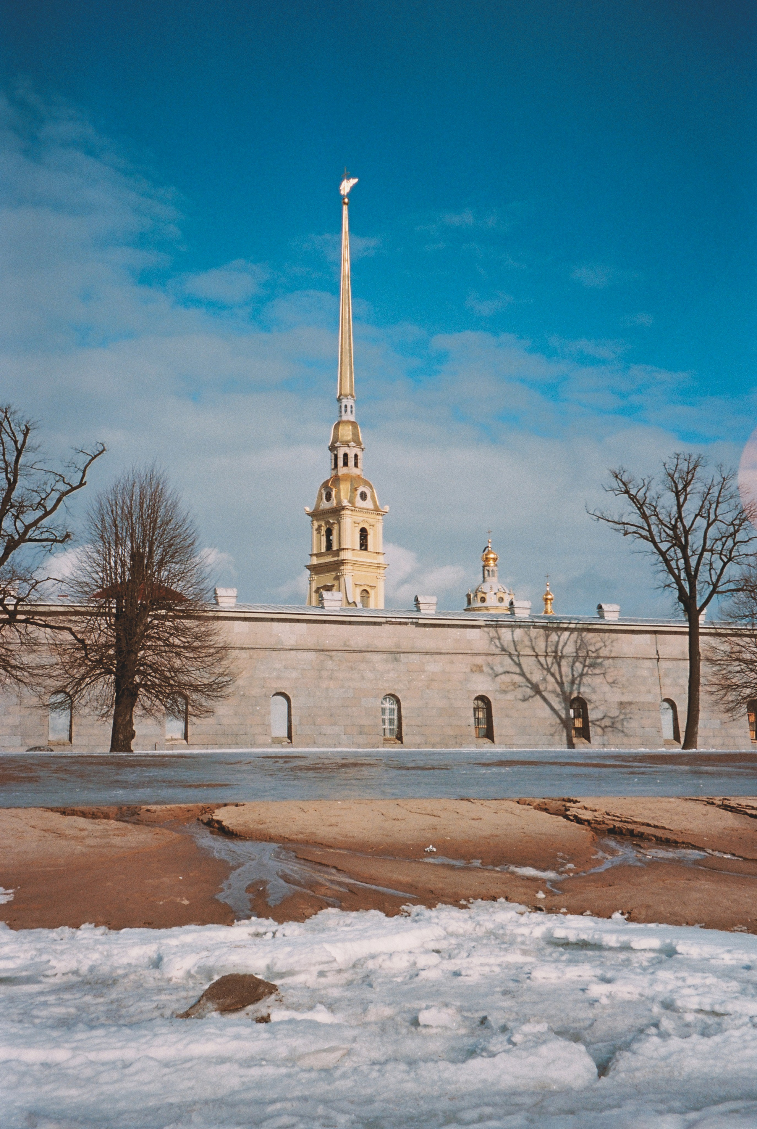 Фотографии цветные. Свадебный и семейный пленочный фотограф в Петербурге Истомина Ирина