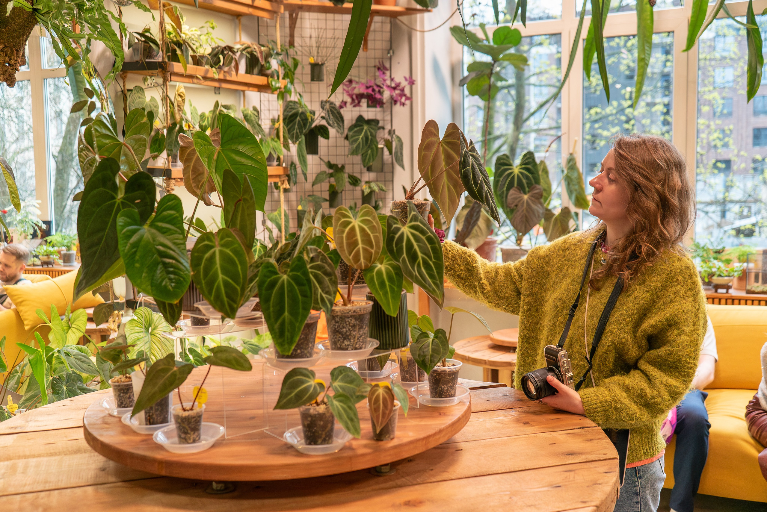 Make more plants. Александра Куликова фотограф, Москва