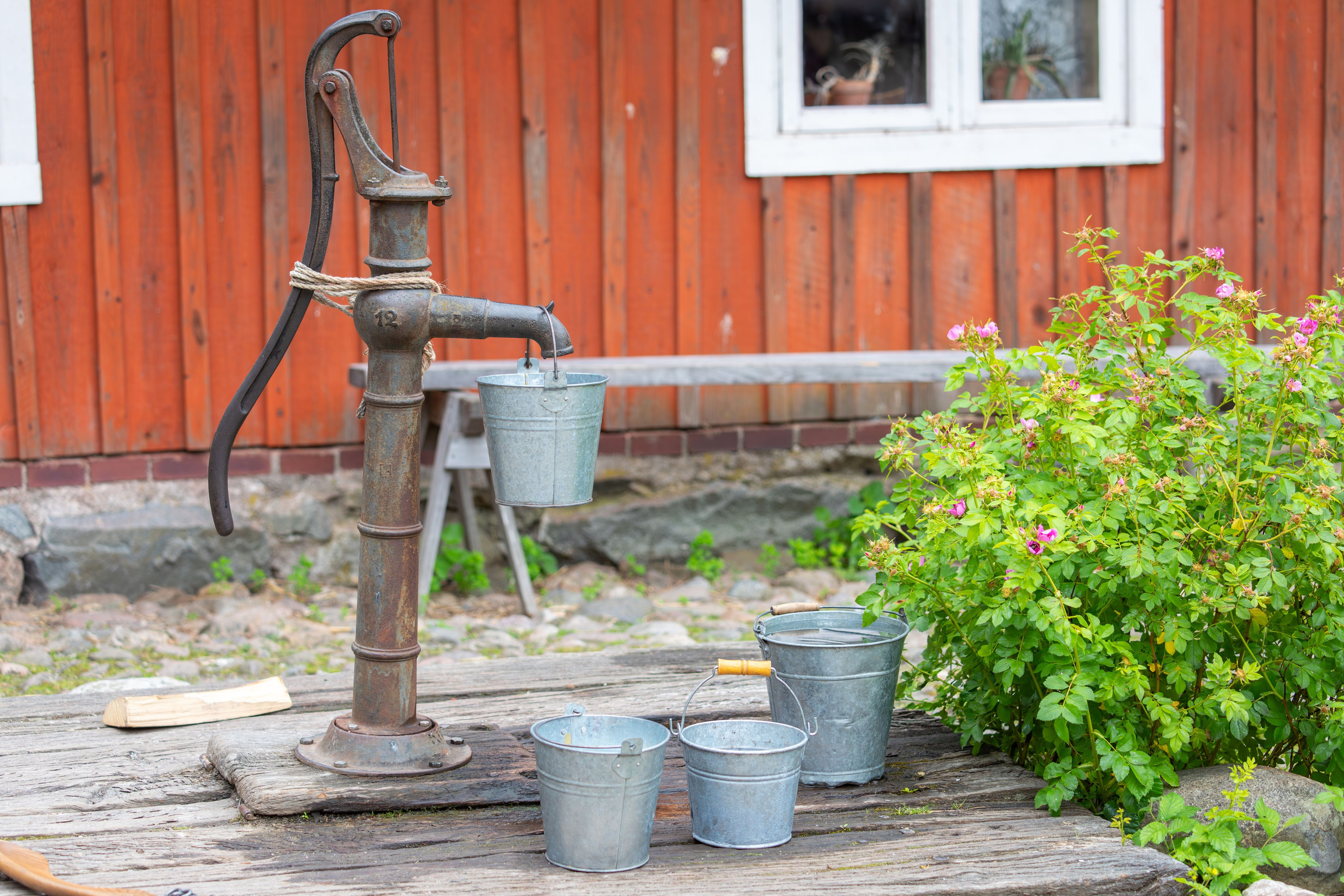 Sweden, Skansen. Воройская Анна