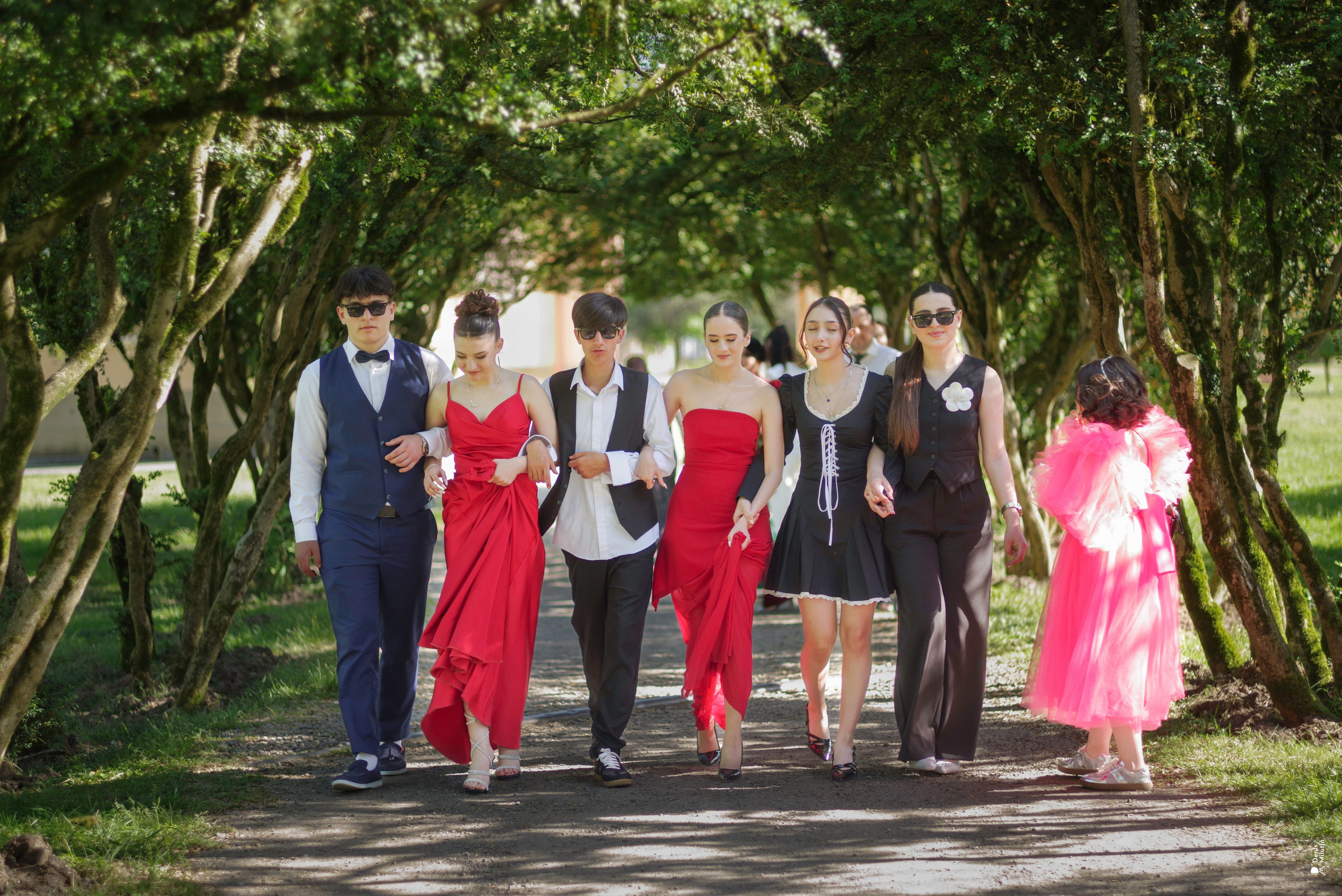 Аподикс в Зугдиди. Портретный фотограф Денис Милютин