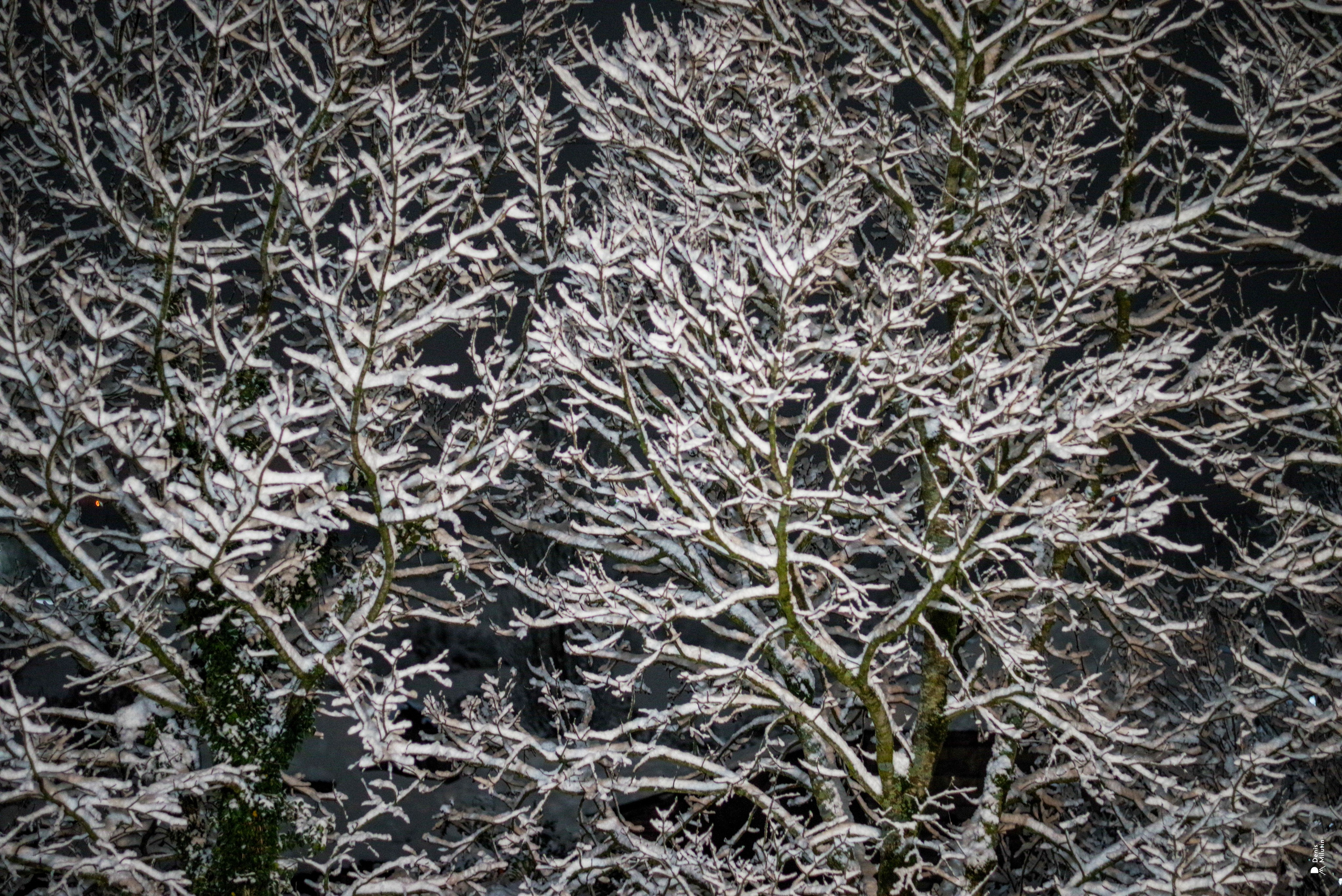 Ночь в Менджи. Портретный фотограф Денис Милютин
