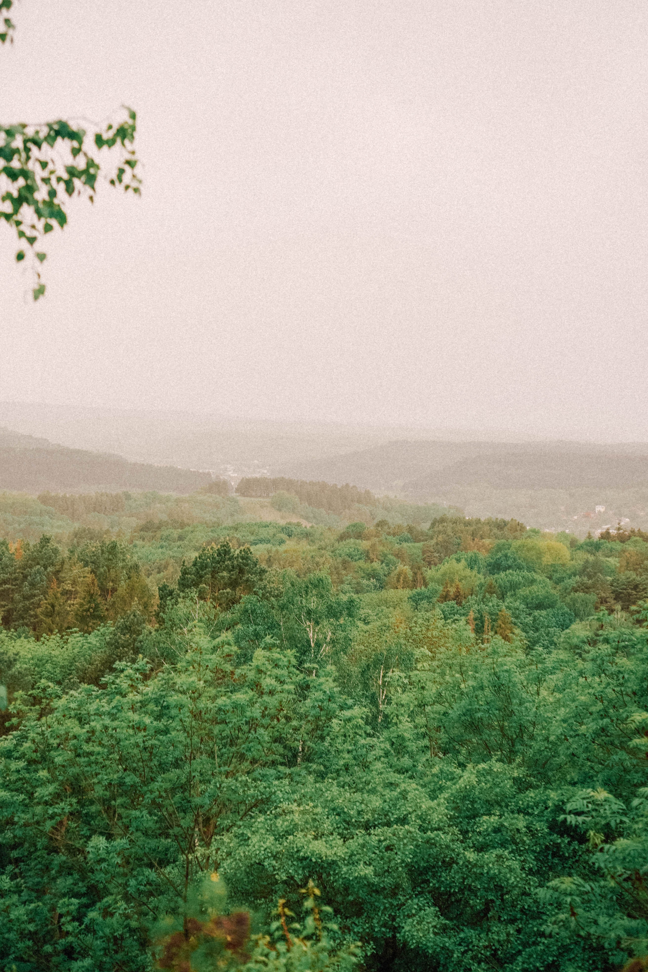КИСЛОВОДСК. Профессиональный фотограф, Санкт-Петербург — Виктория Богомолова