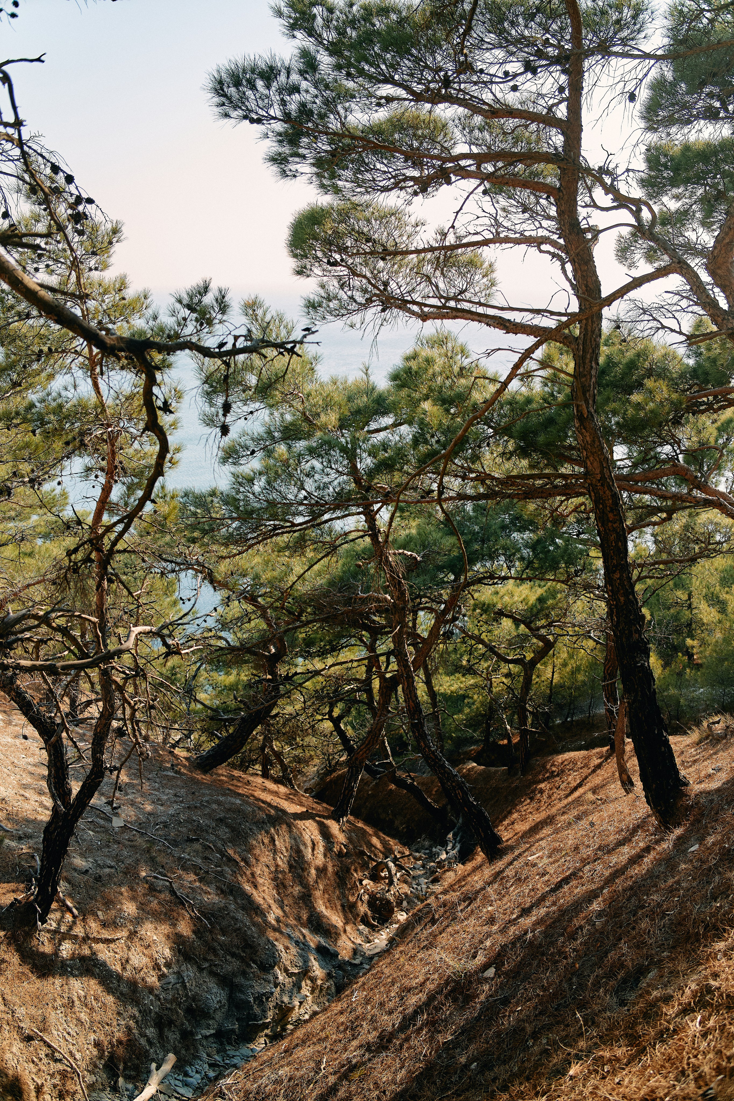 Юг России. Профессиональный Фотограф во Владимире, в Москве и в Суздале — Полина Романычева