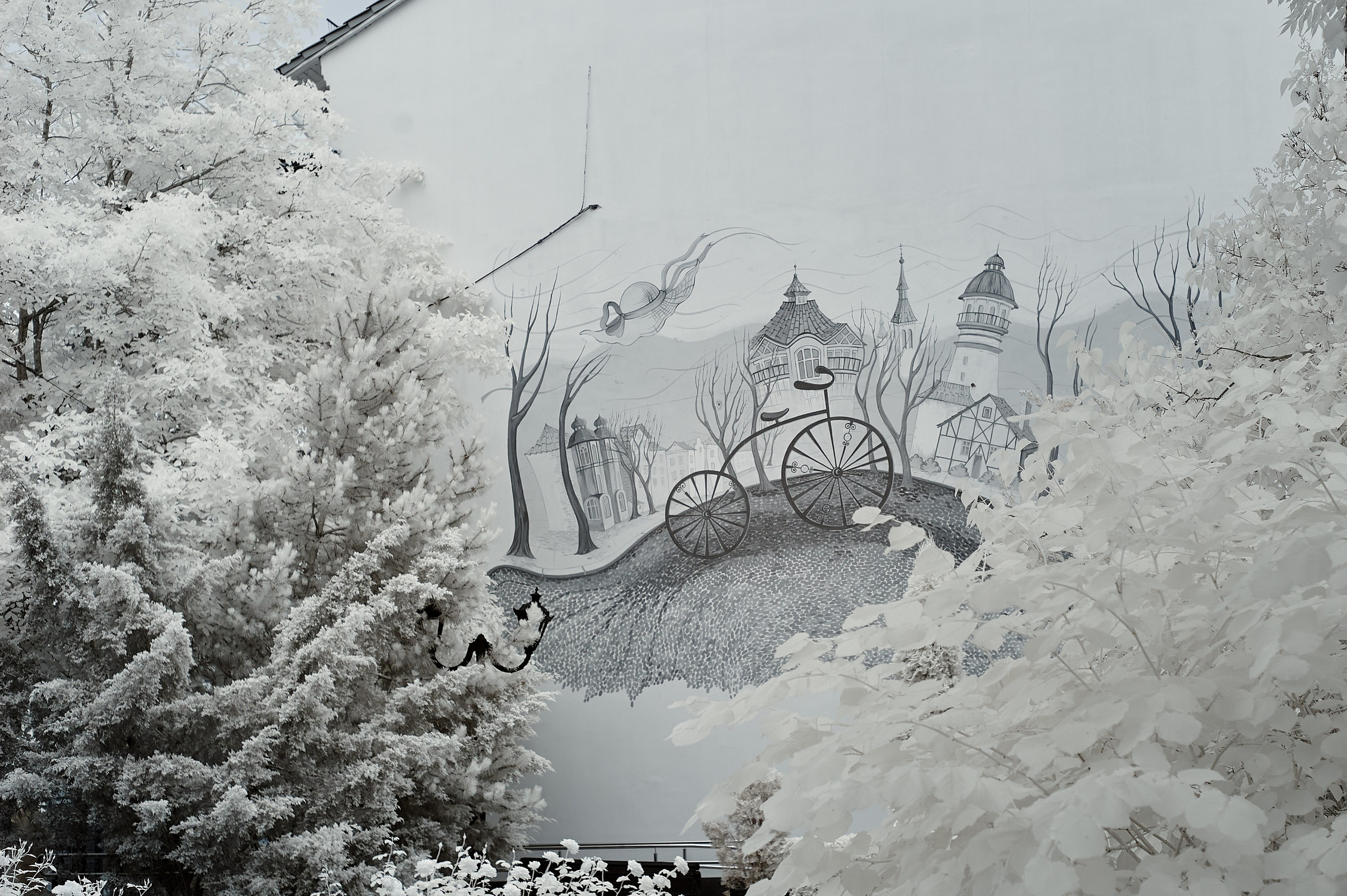 Infrared Photography. Solofilms