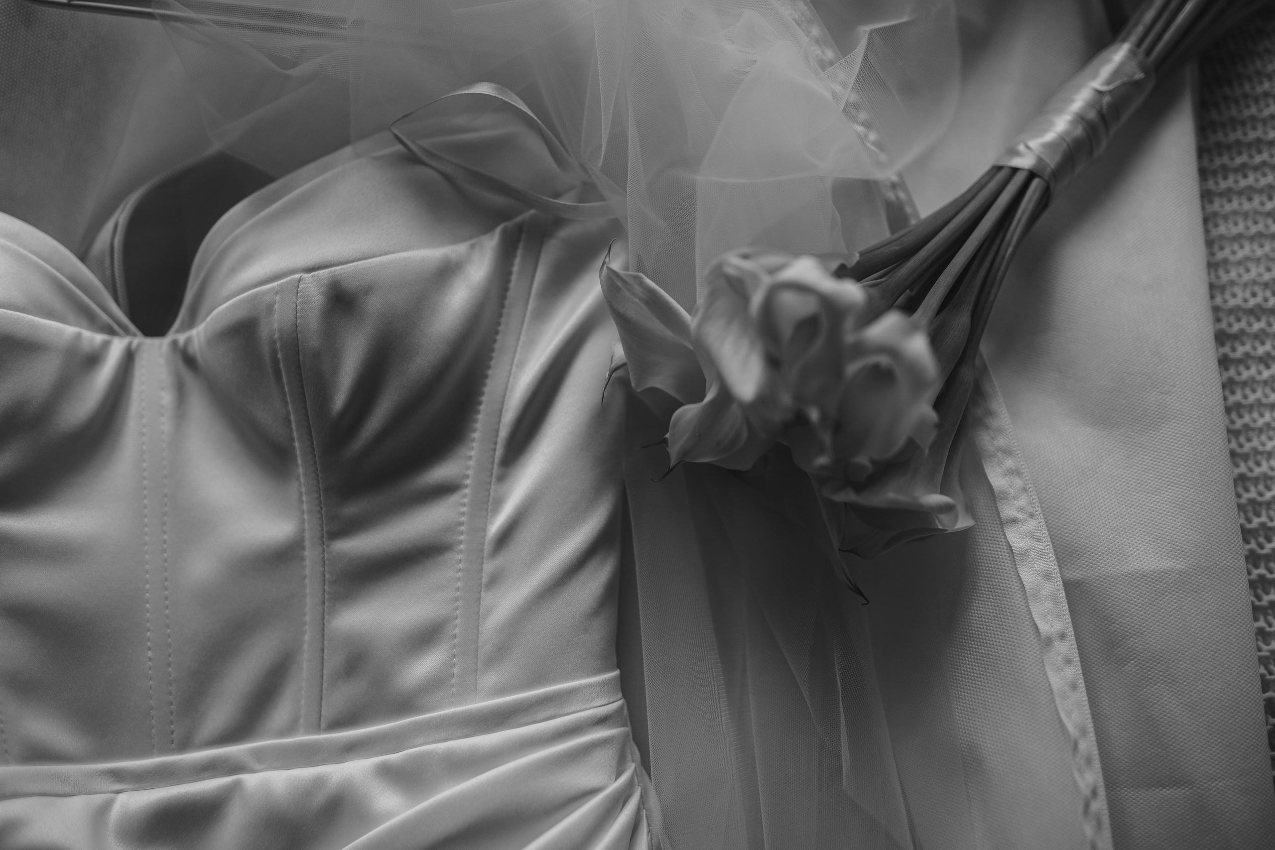 Люби меня люби