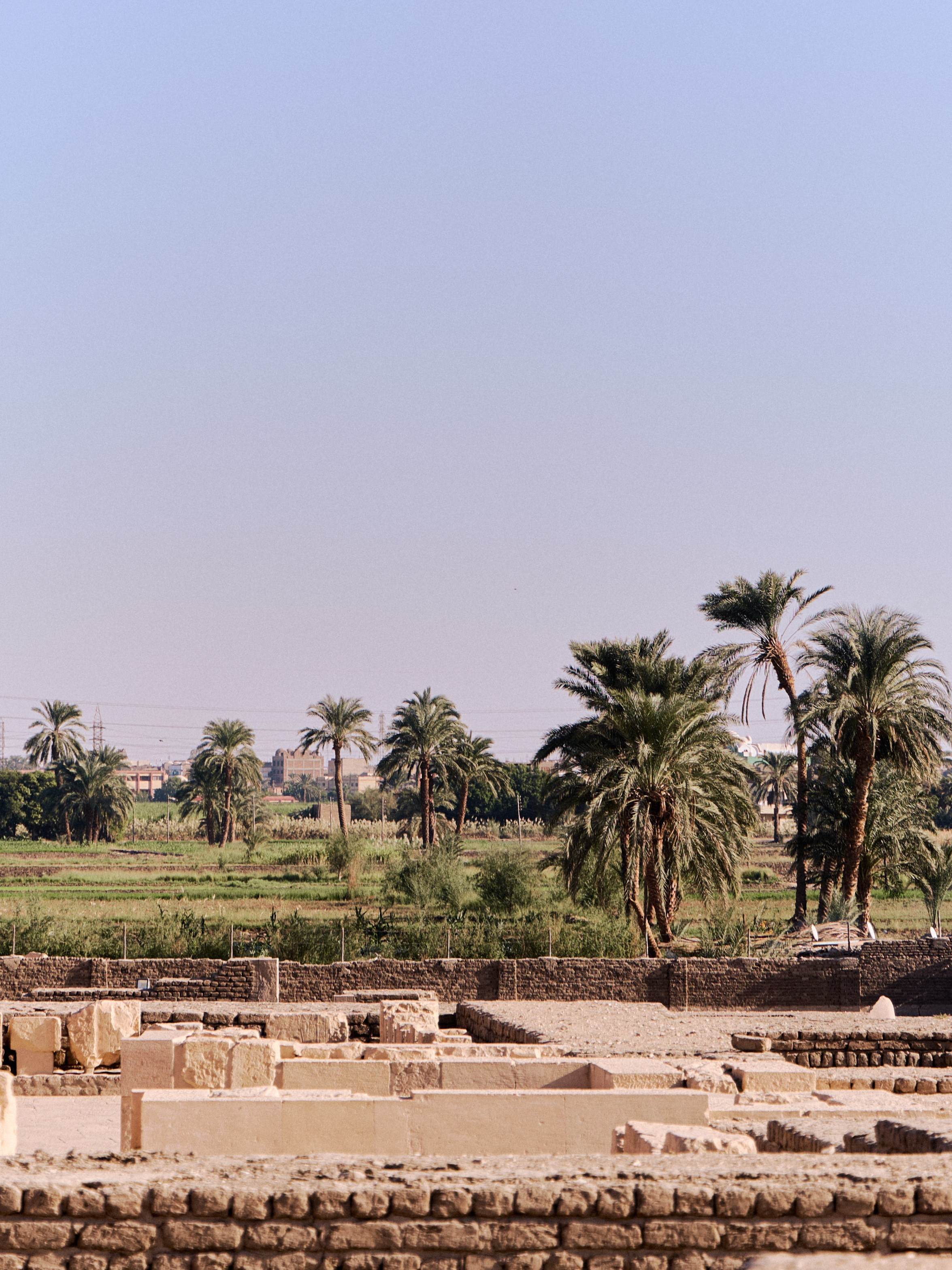 Другое 4. Jorgis — фотограф в Хургаде / обучение фотографии