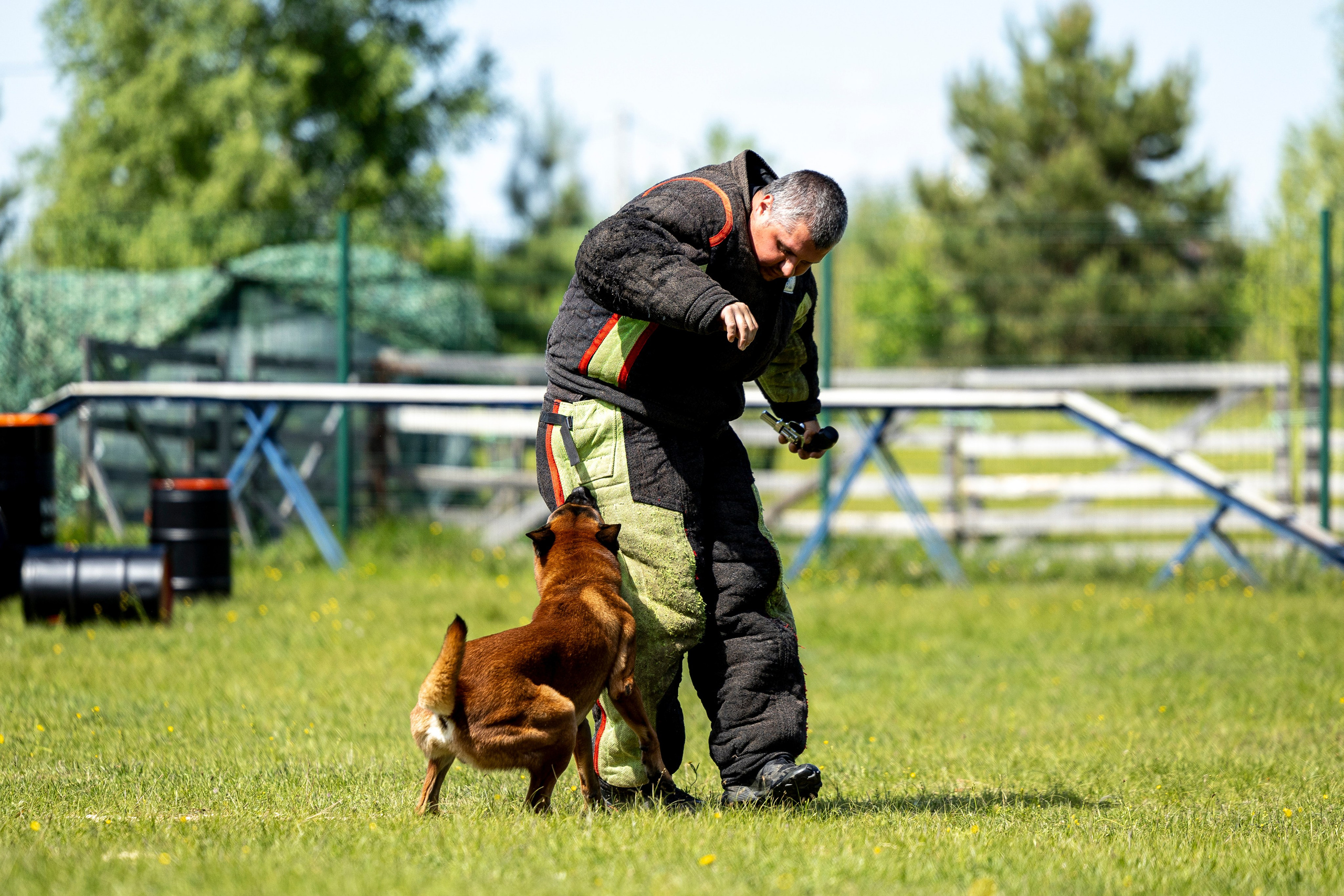 Испытания по мондьорингу в Нижнем Новгороде. Фотограф-анималист Анна Маринич