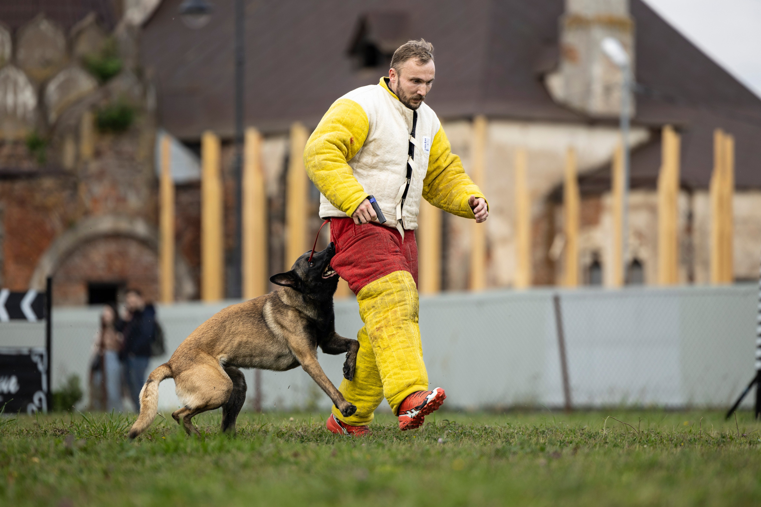 Испытания по Мондьорингу г. Пушкин. Фотограф-анималист Анна Маринич