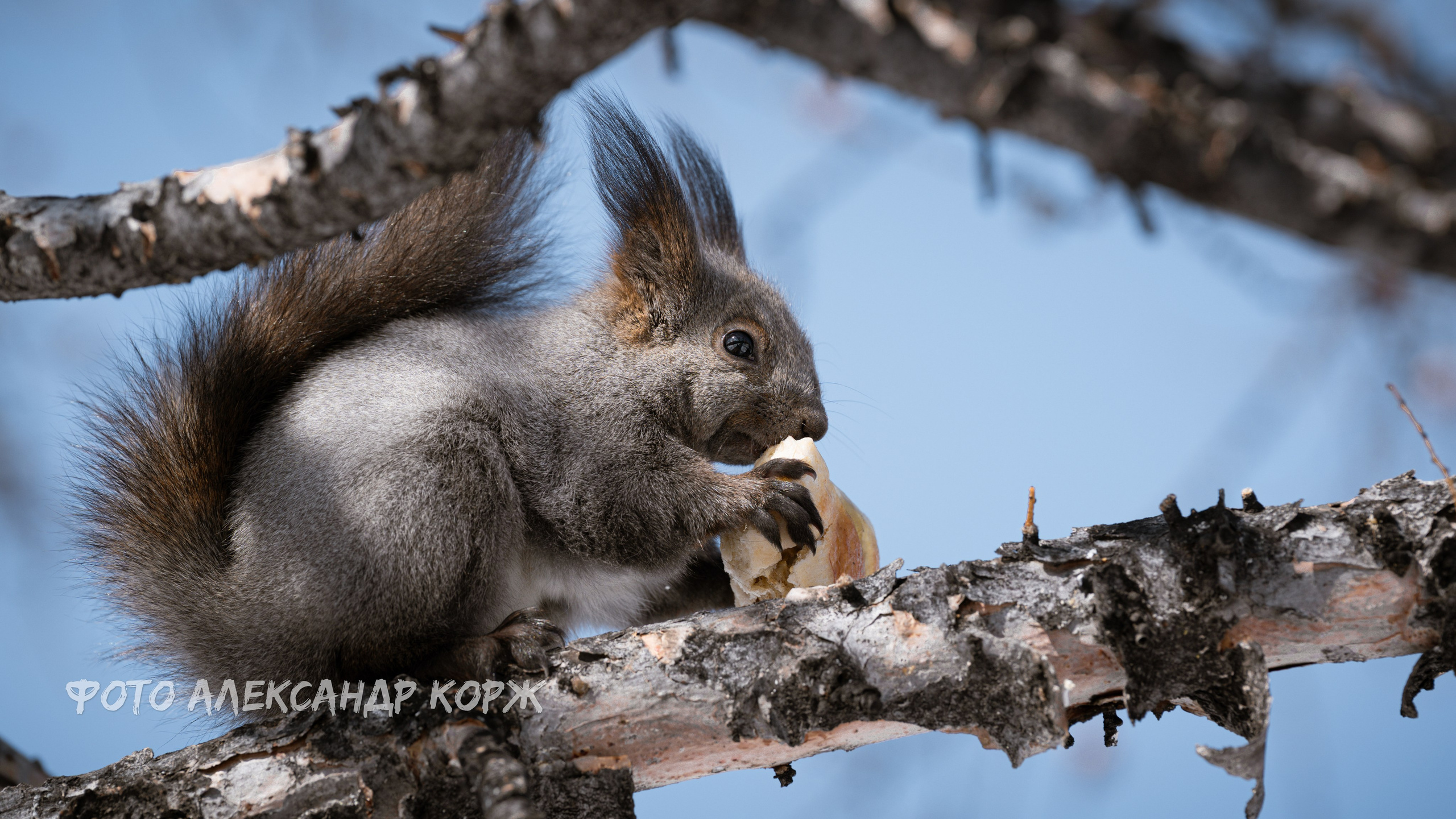Северный поселок Айхал. Фотографии и видеосъемка, Айхал, Удачный, Якутия. Фотографии Айхал