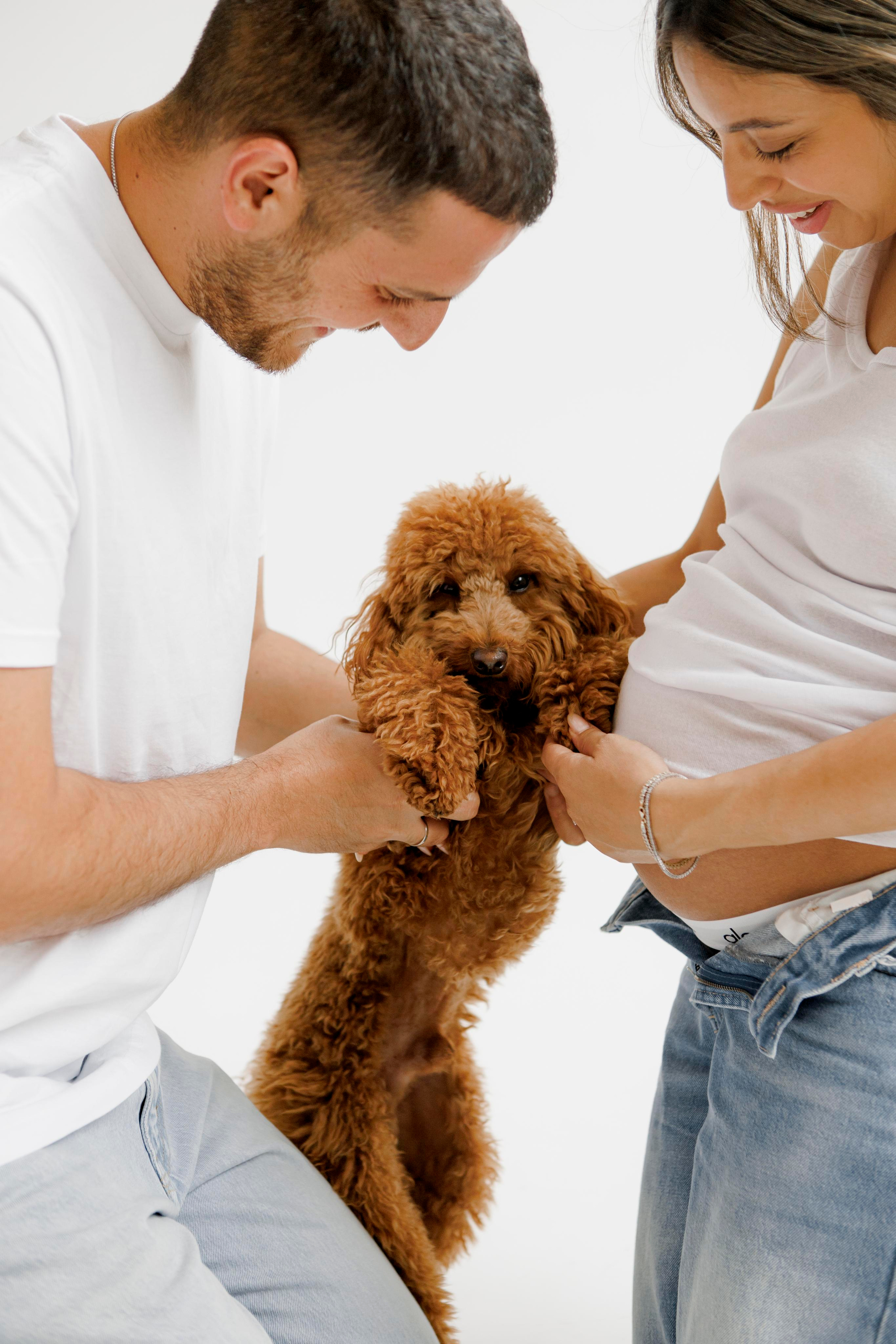 Pregnancy photoshoot inside the White studio. Главная