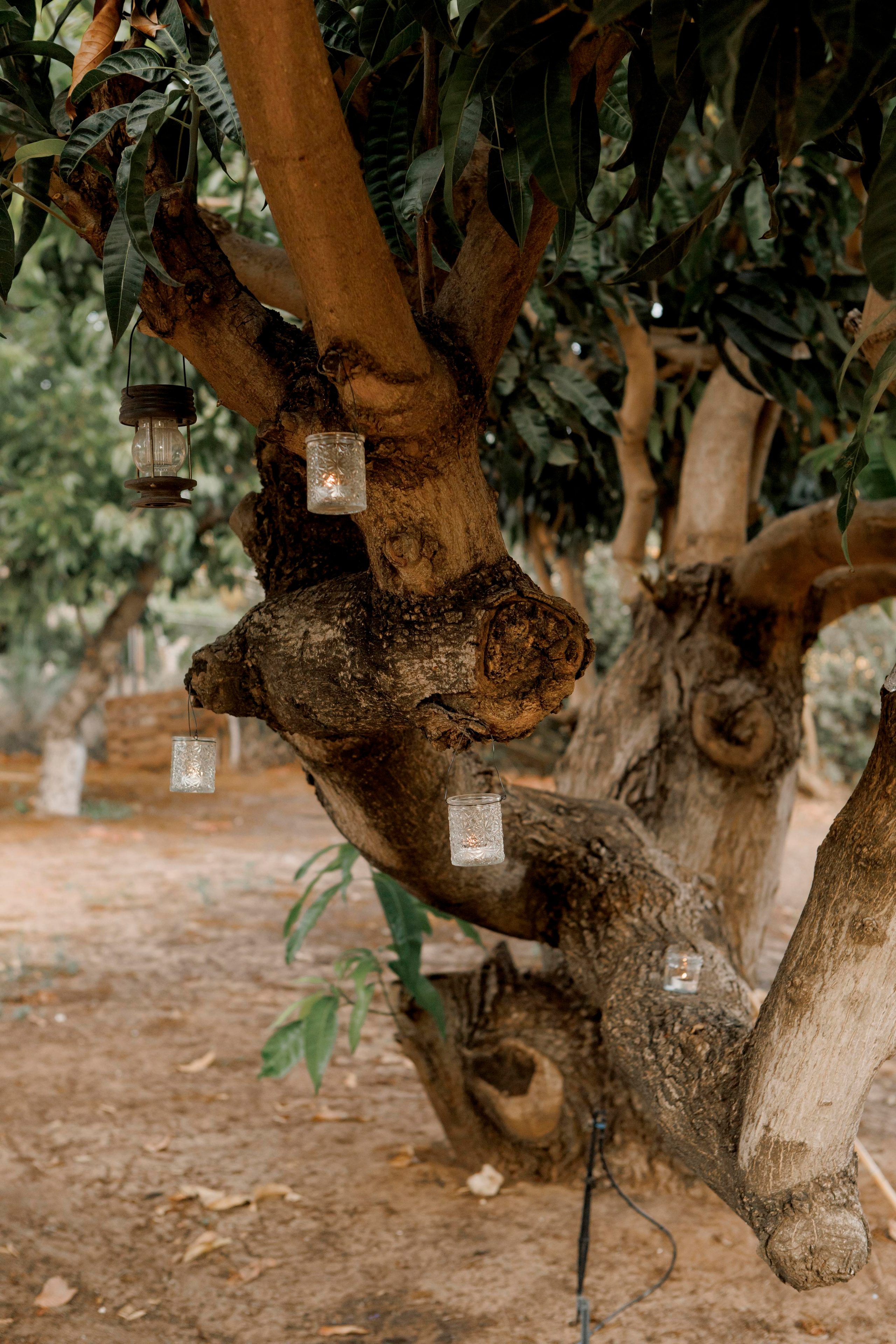 Dror & Danielle | Israel. Wedding and family photographer