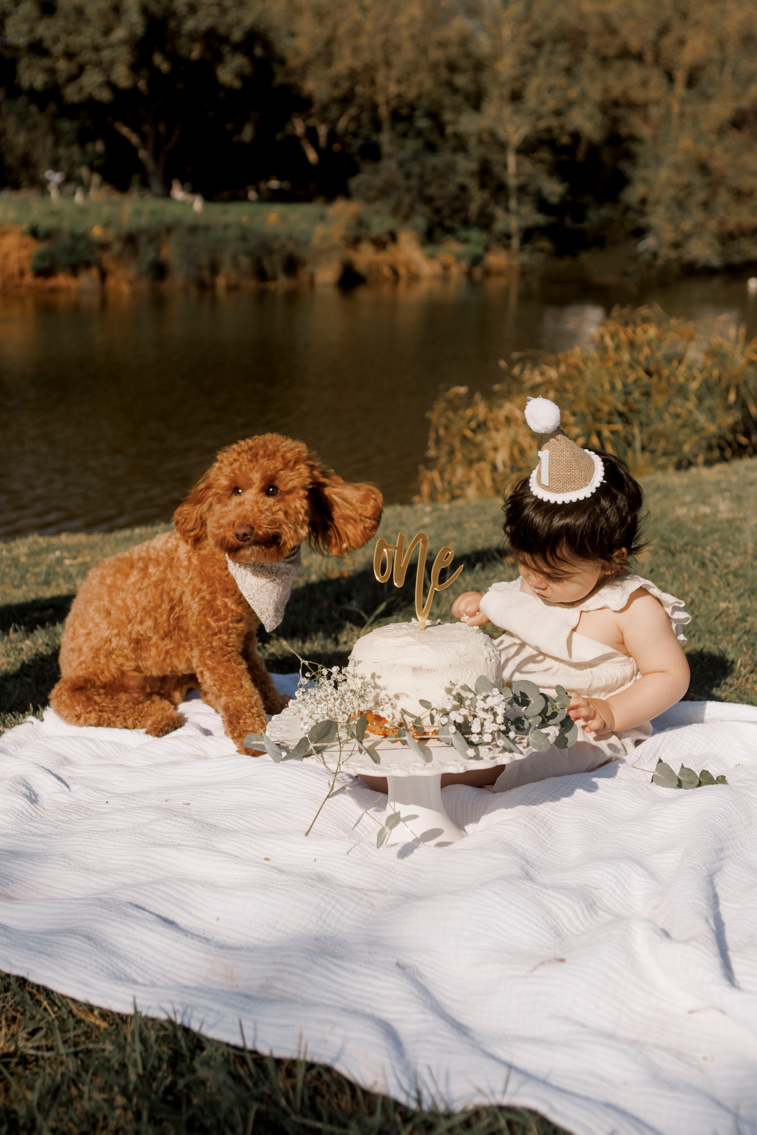 Wedding and family photographer