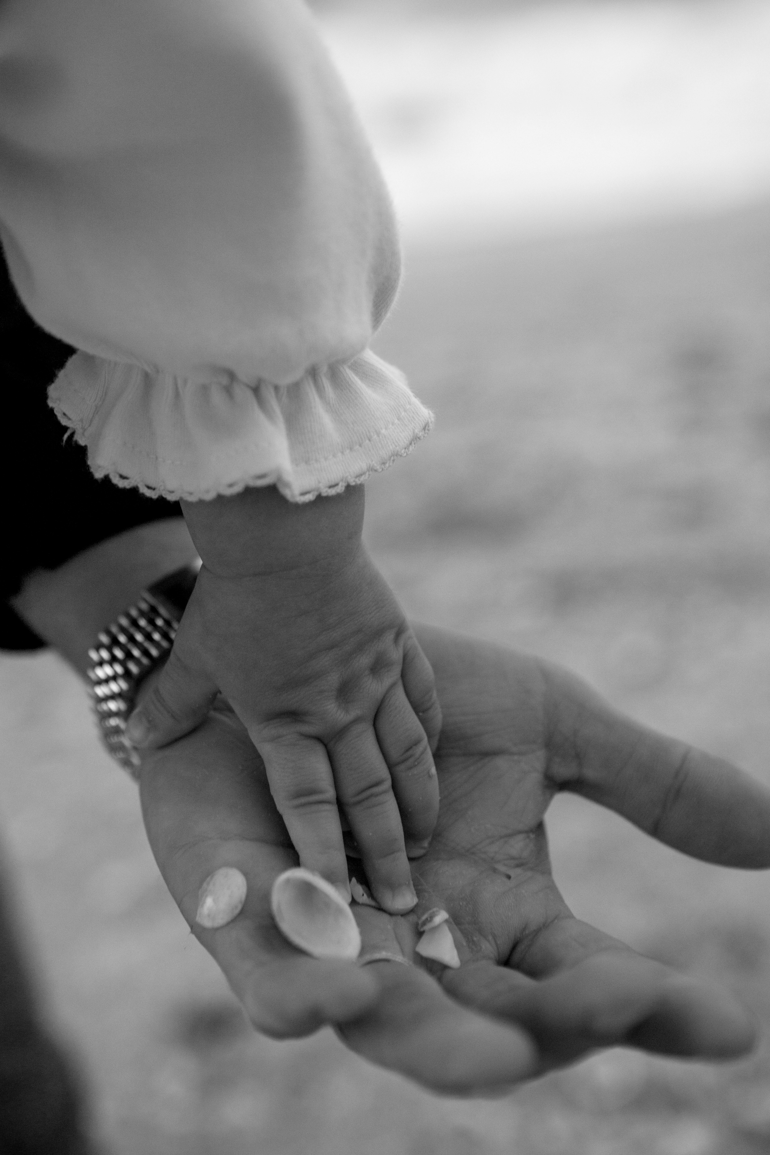 First birthday near the sea (sunset). Главная