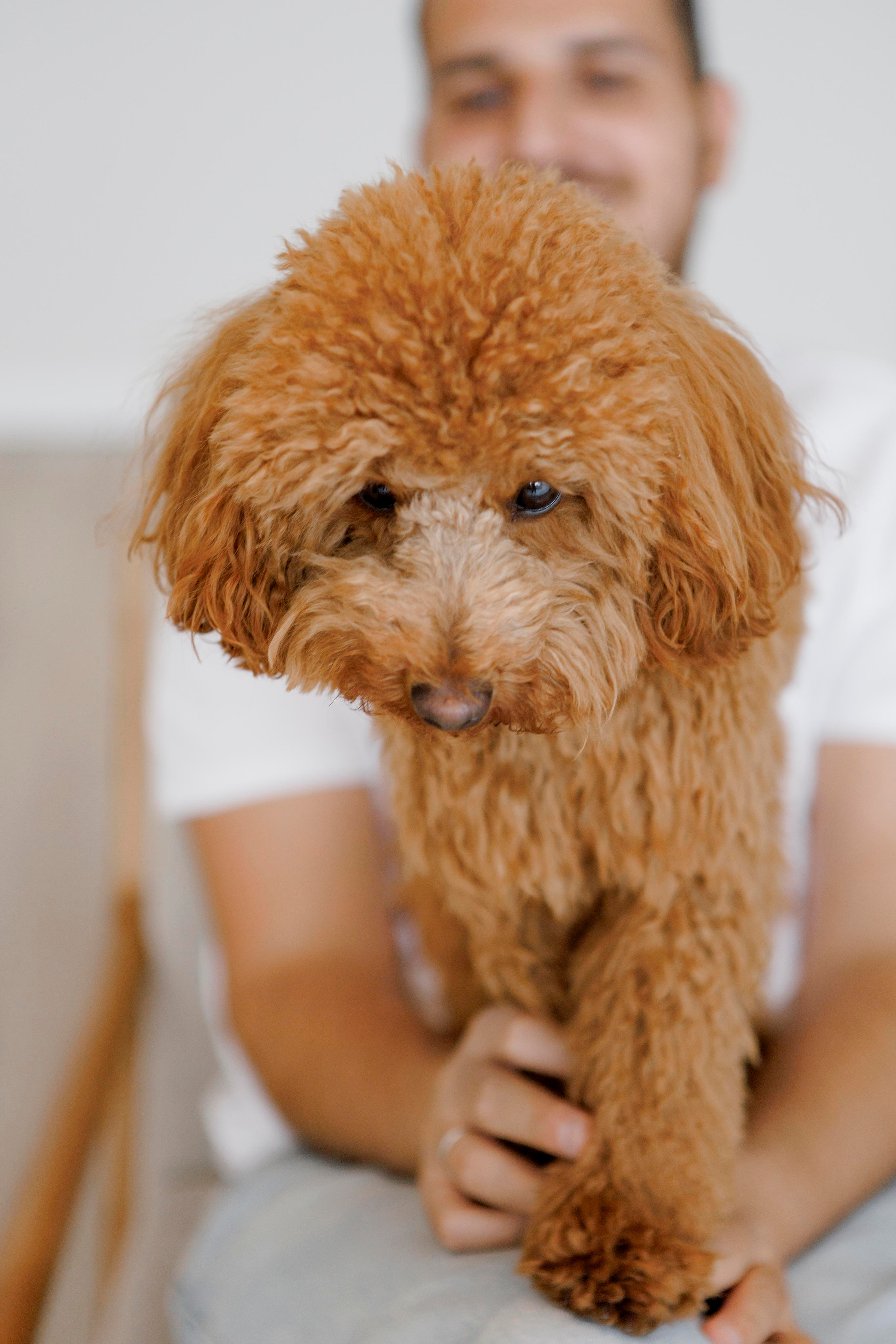 Pregnancy photoshoot inside the White studio. Главная