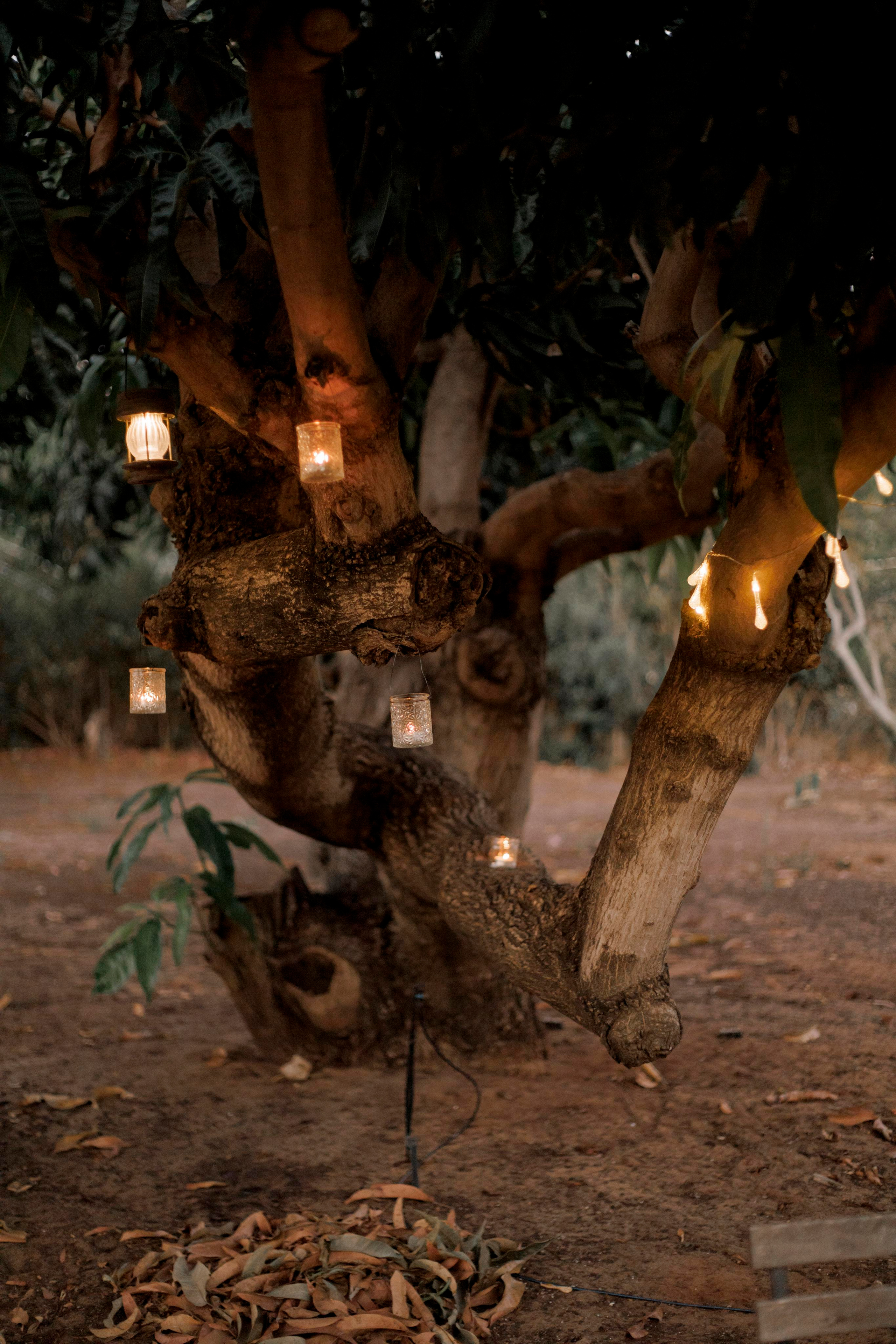 Dror & Danielle | Israel. Wedding and family photographer