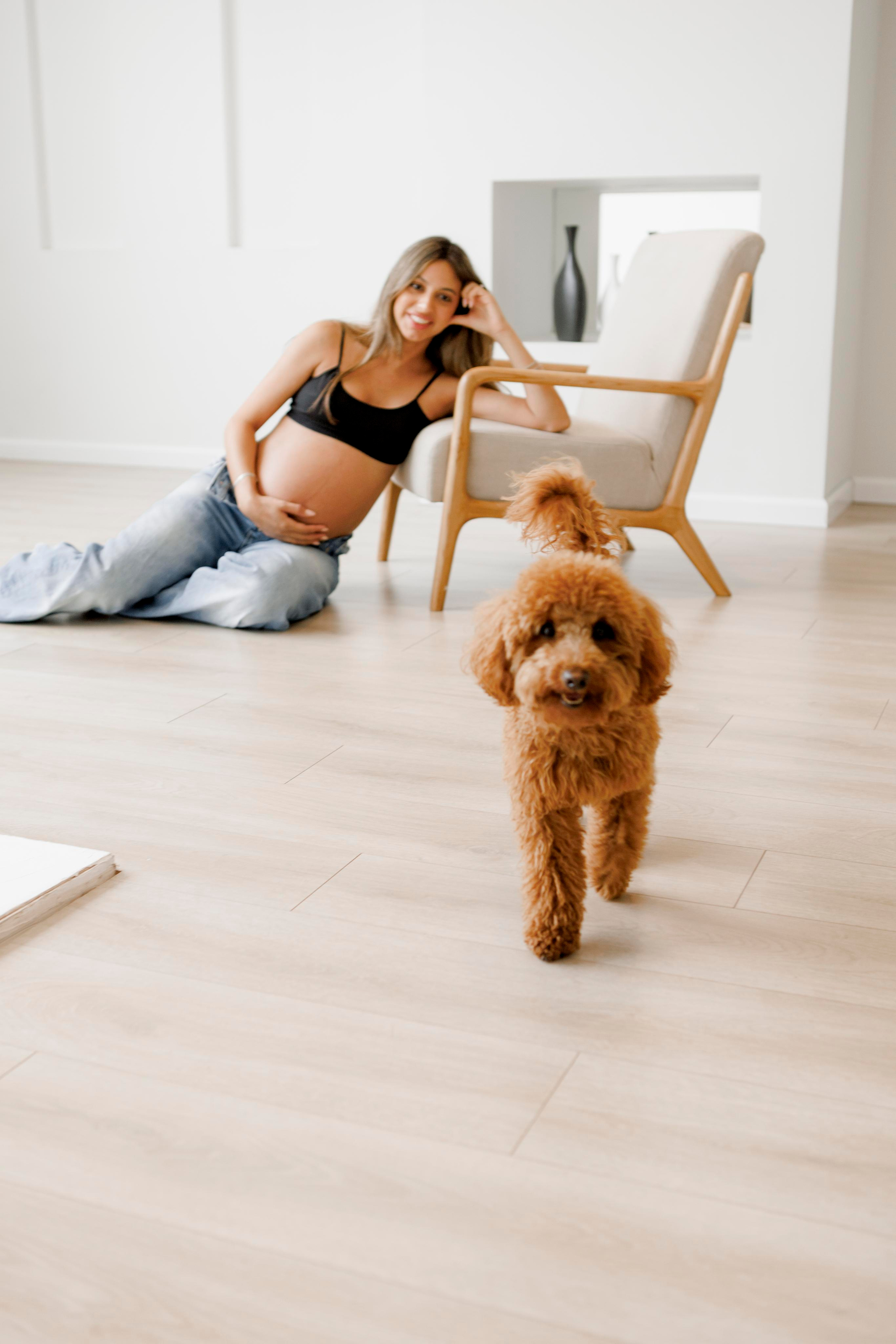 Pregnancy photoshoot inside the White studio. Главная