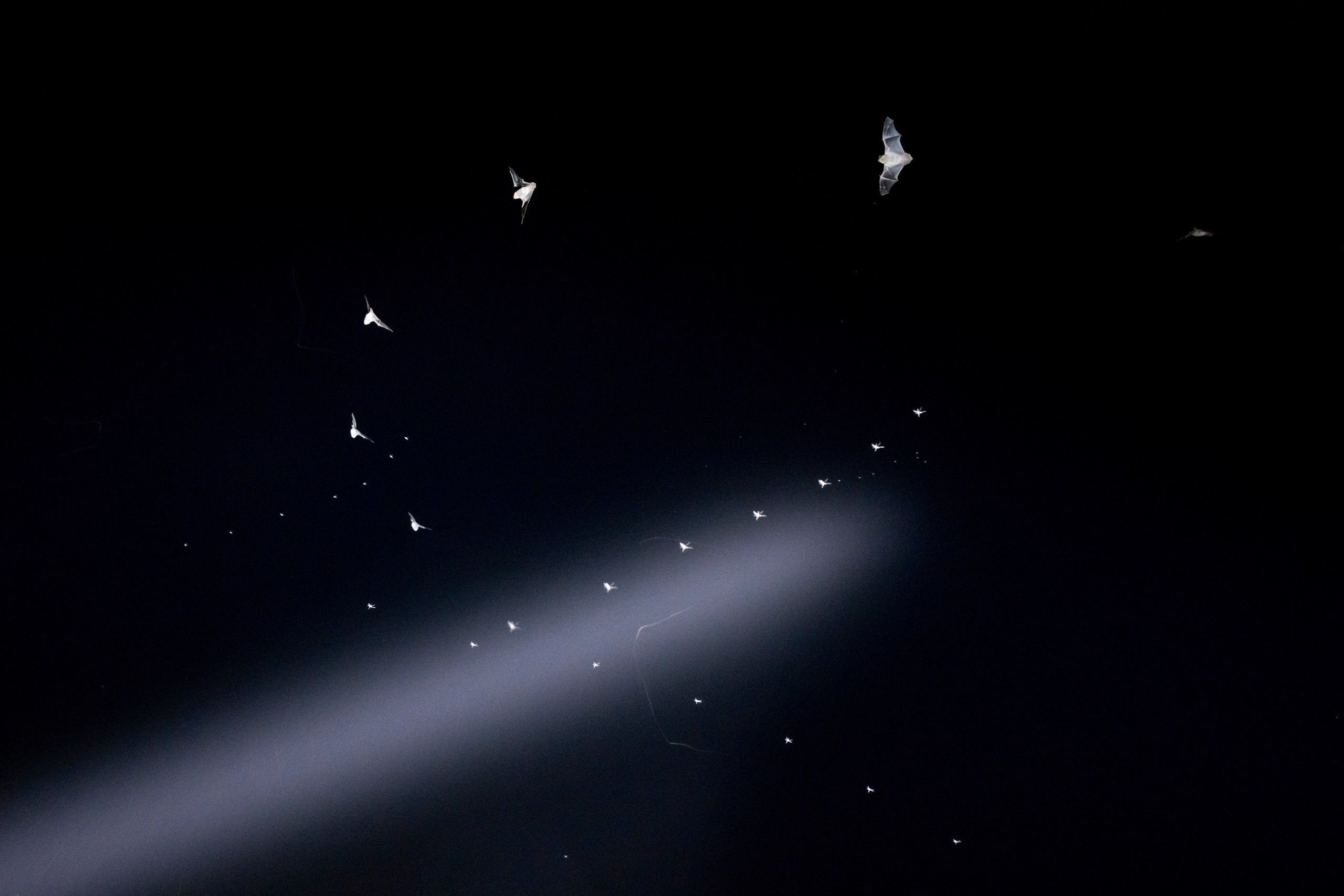 Природа Дагестана, сентябрь 2024. Foto-Zuev фотография как искусство