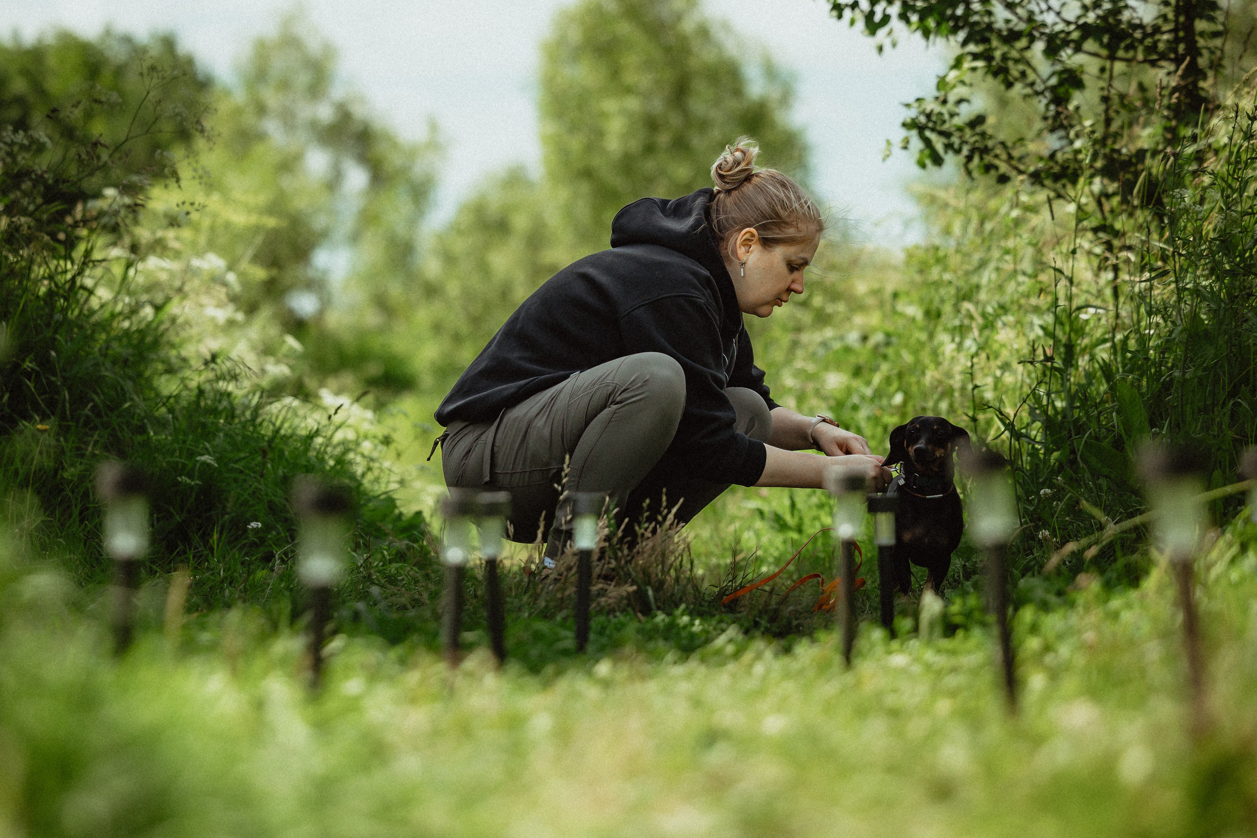 Выездной дог-тренинг от школы «Шерсть имею»