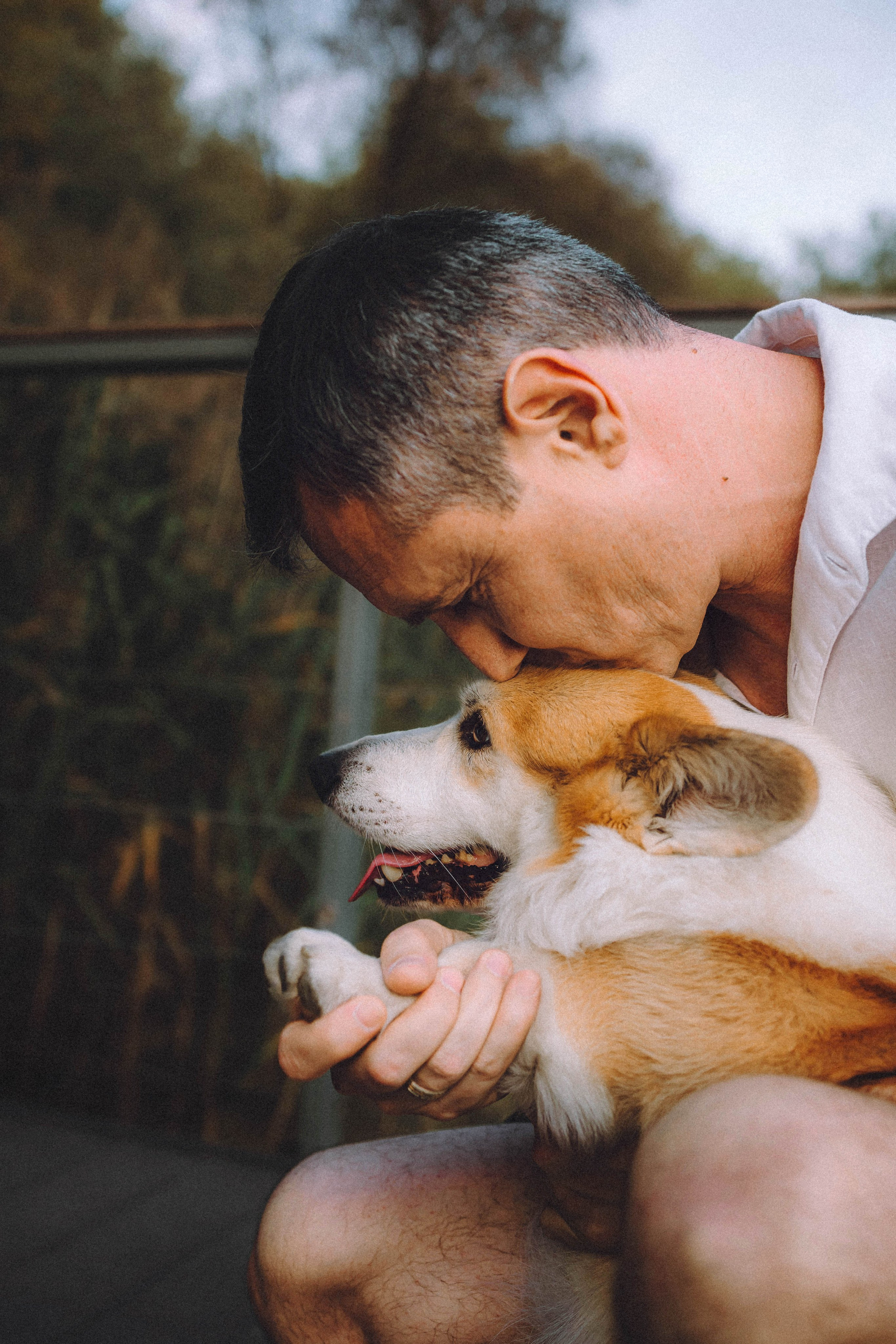 Арчи и его семья