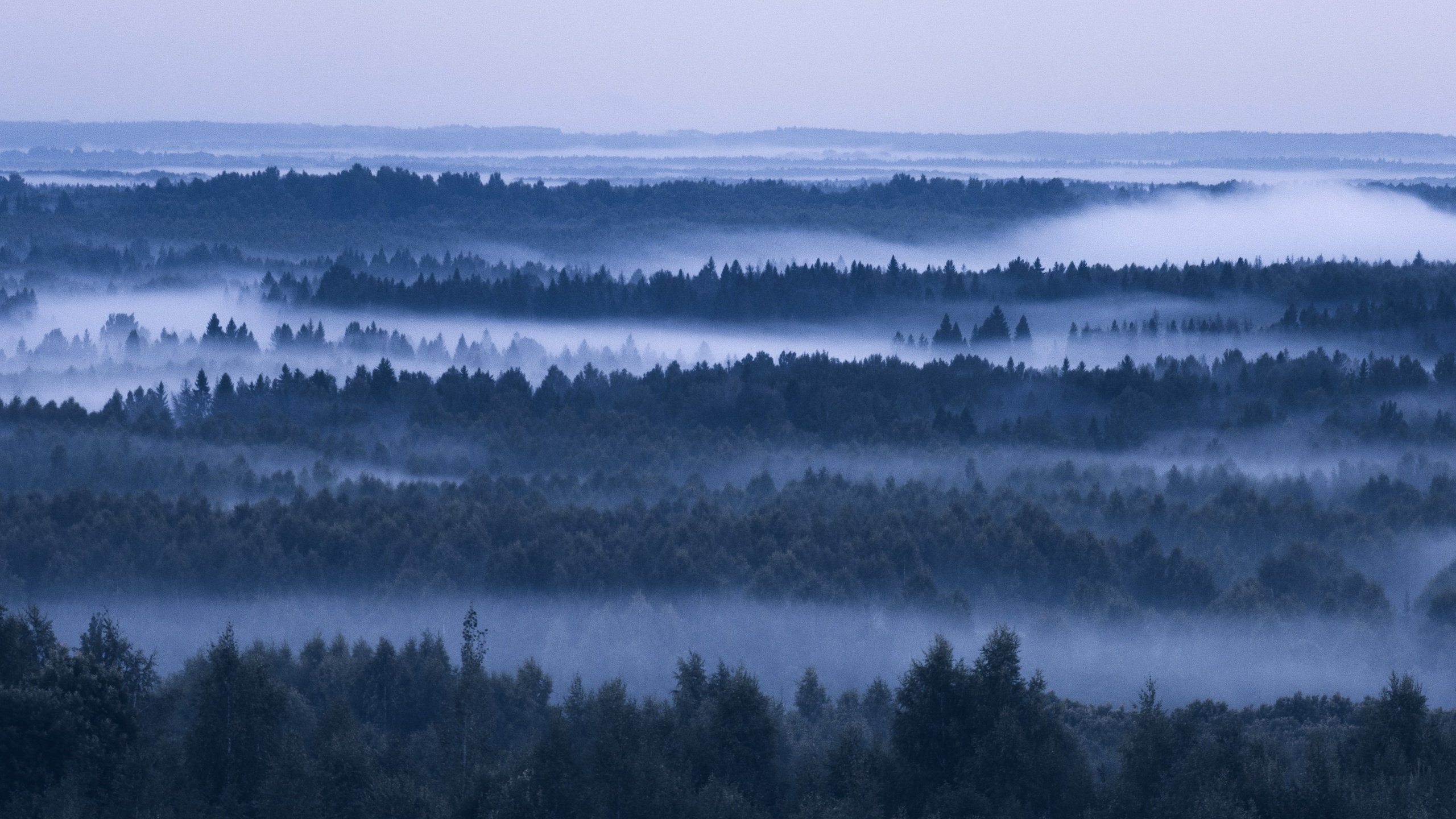 Попкова Виктория фотограф