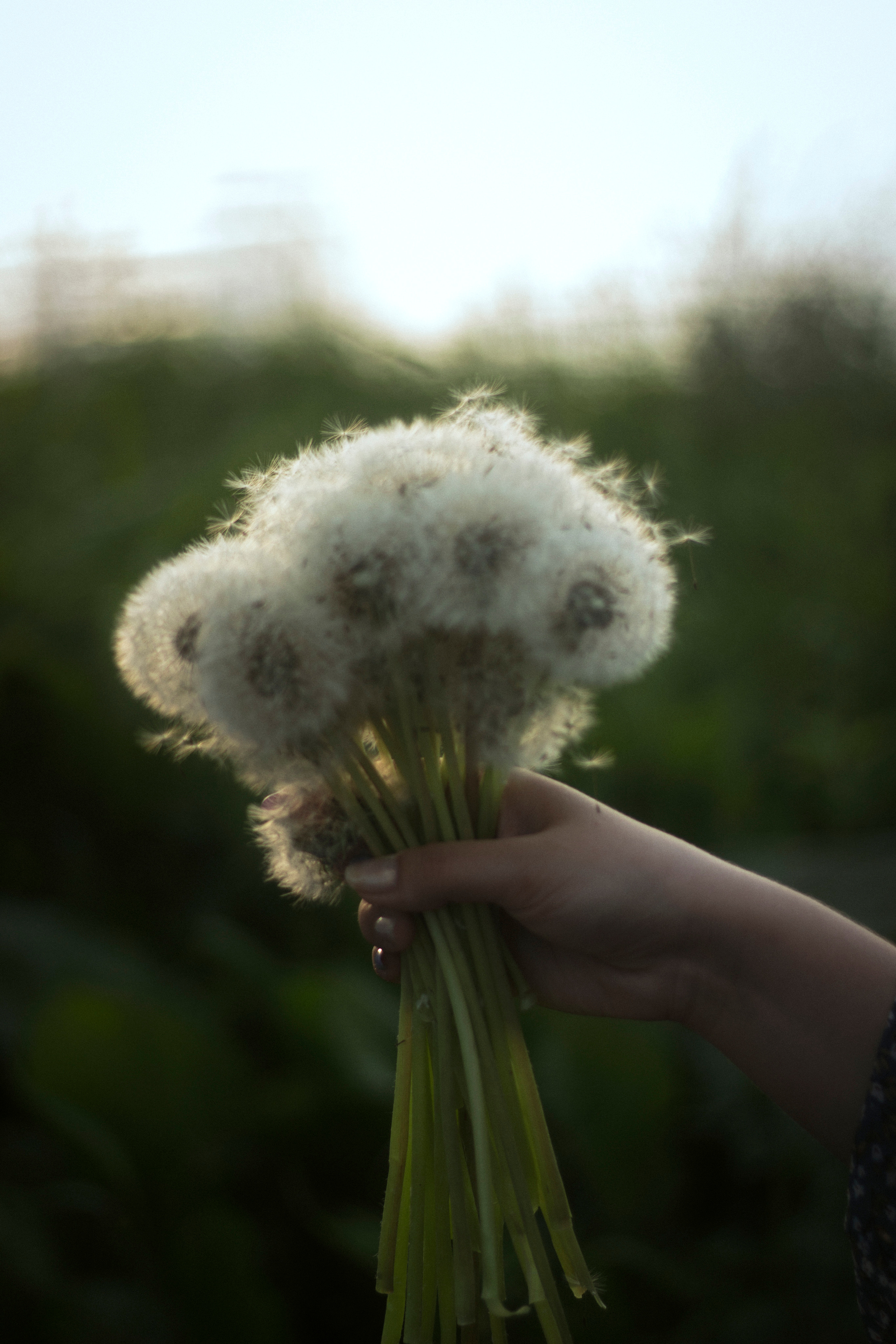 V&D. Фотограф и видеограф Мария Банщикова, Солнечногорск, Москва