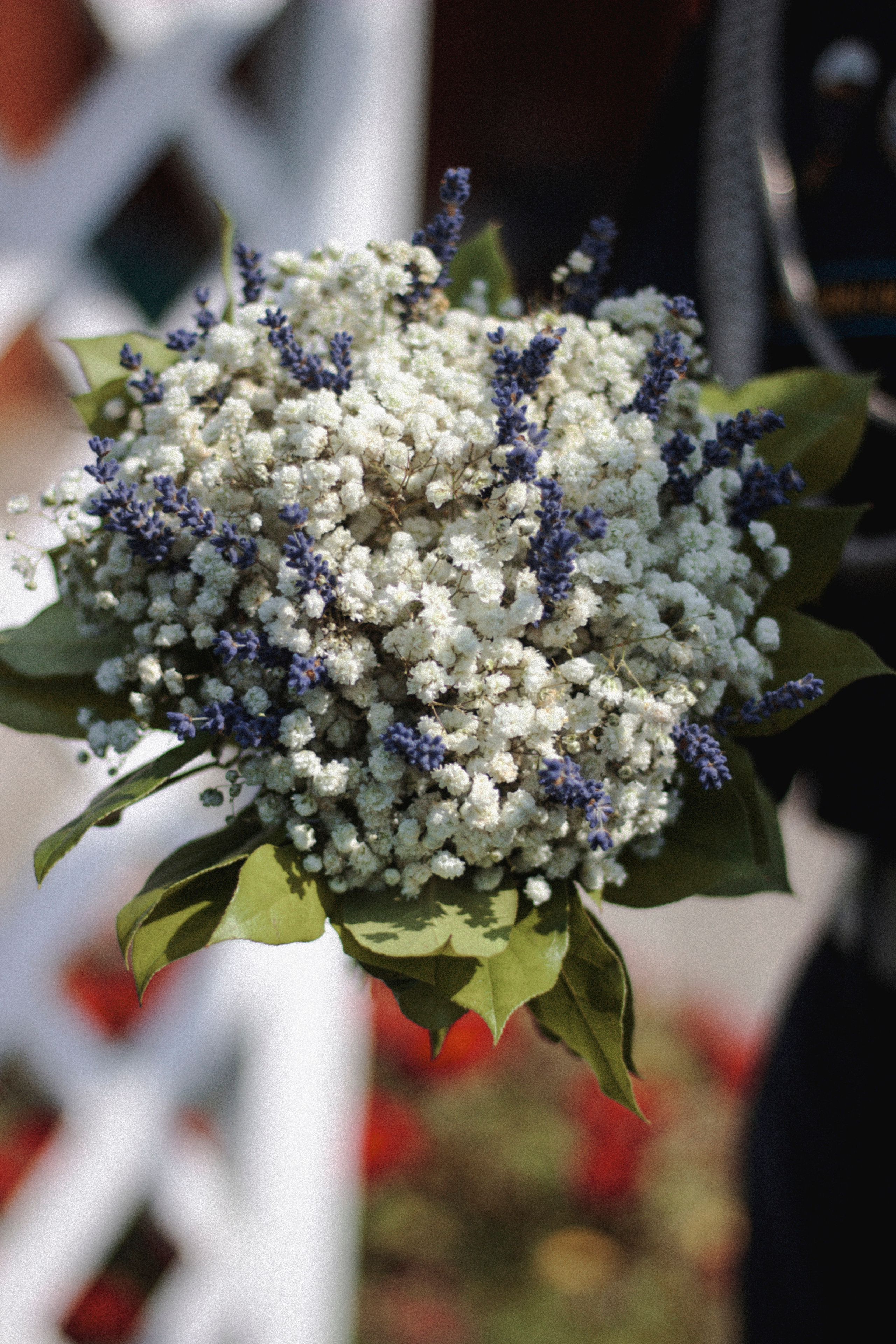 E&E. Фотограф и видеограф Мария Банщикова, Солнечногорск, Москва