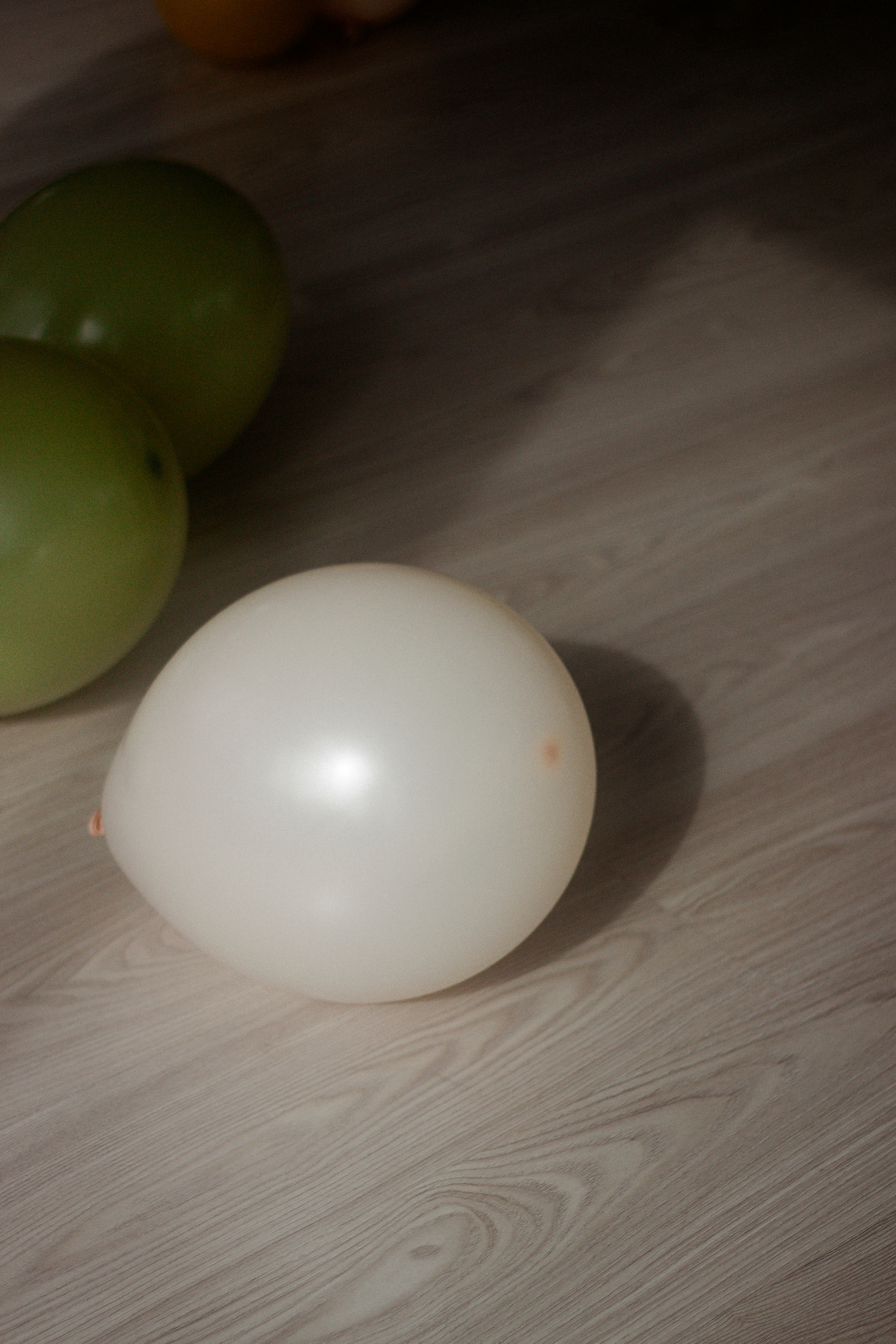 Марк. Фотограф и видеограф Мария Банщикова, Солнечногорск, Москва