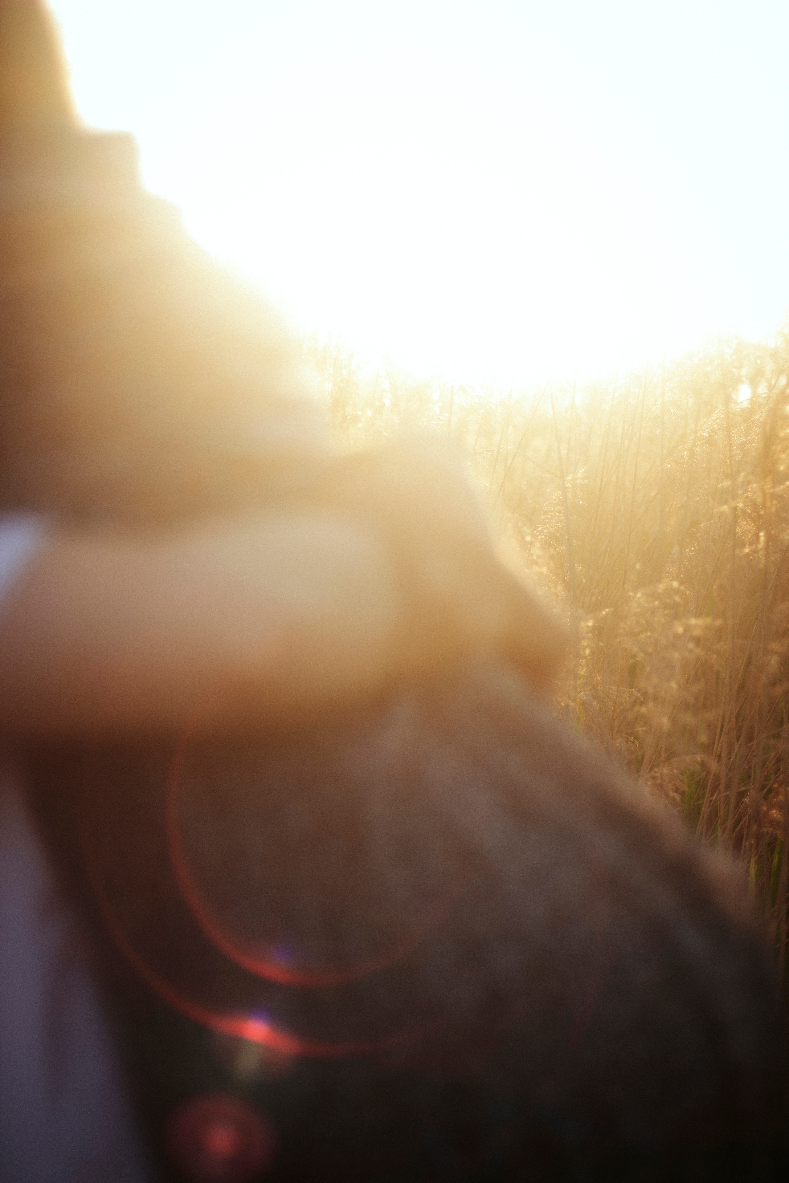 V&D. Фотограф и видеограф Мария Банщикова, Солнечногорск, Москва