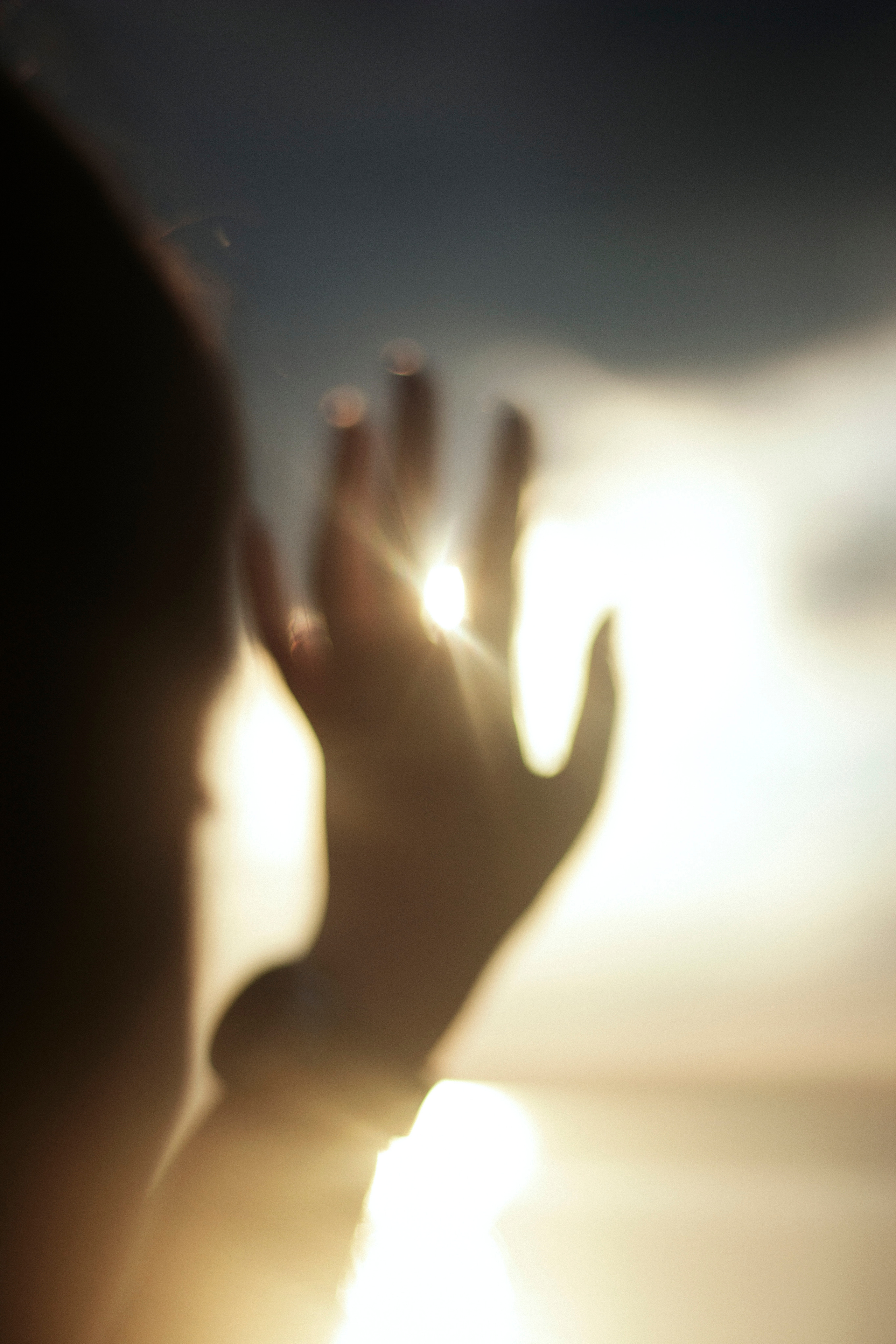 V&D. Фотограф и видеограф Мария Банщикова, Солнечногорск, Москва