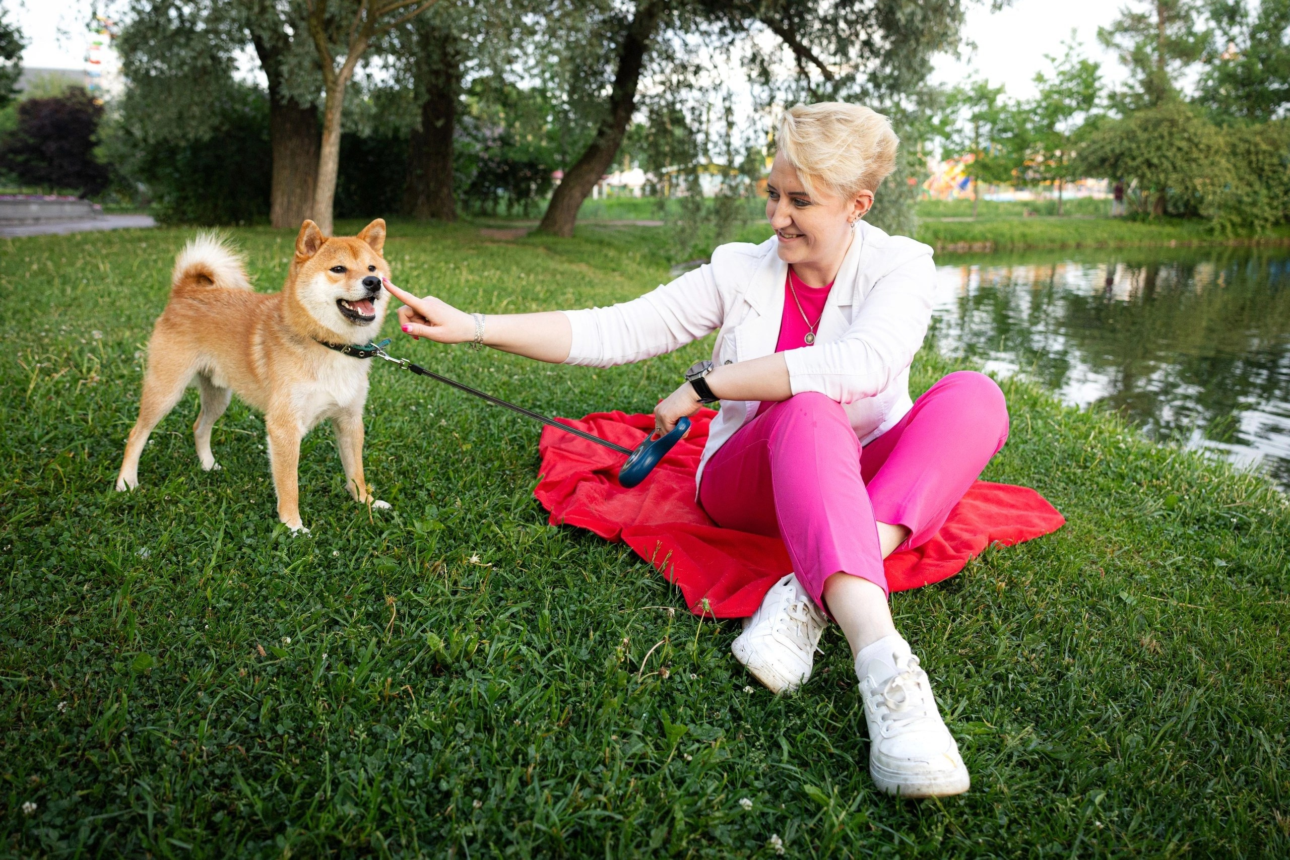 Сиба питомник RUBYLIGHT. Американская акита I Сиба ину I Питомник RUBYLIGHT