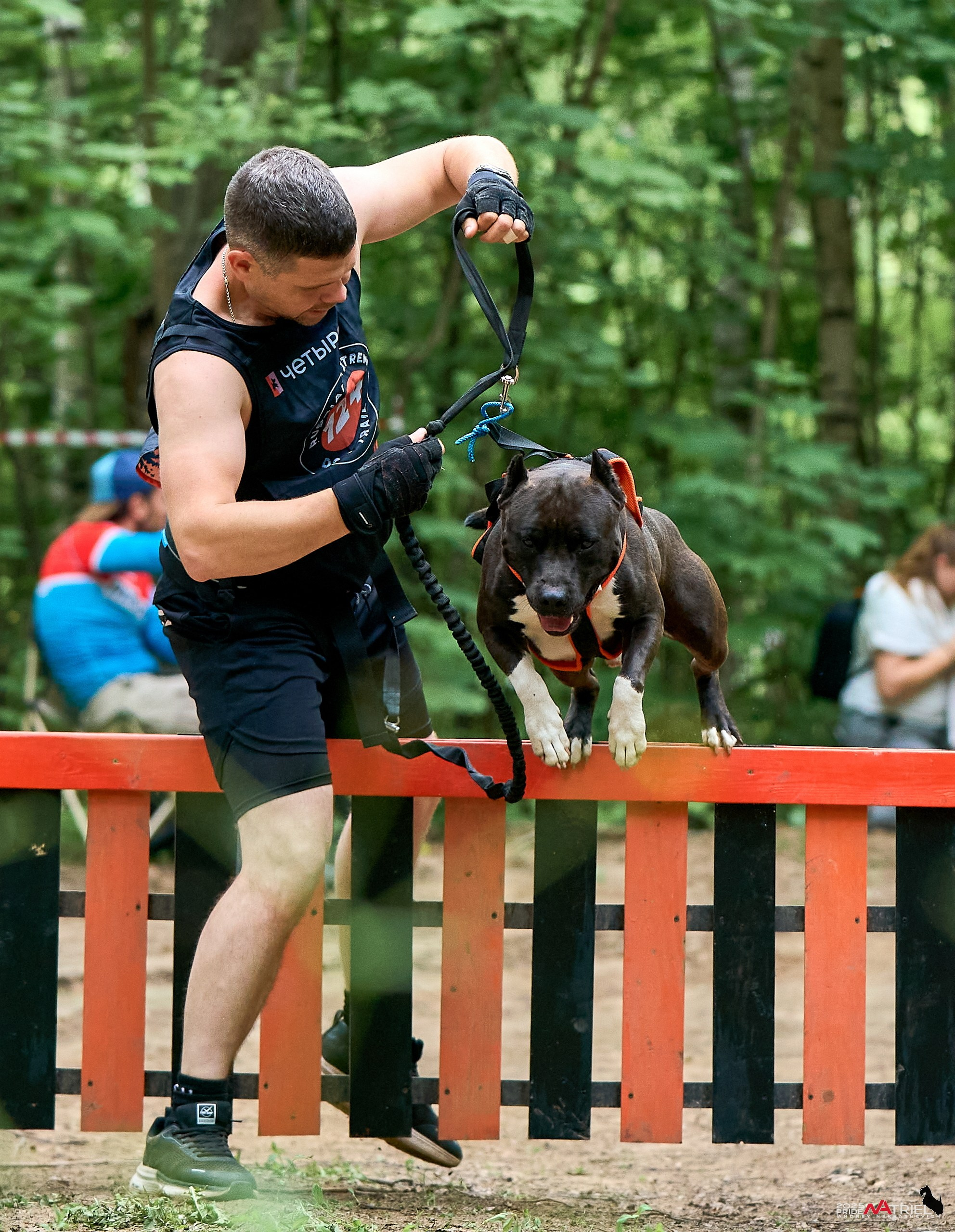 Russian Extreme Dog Trail — 2025