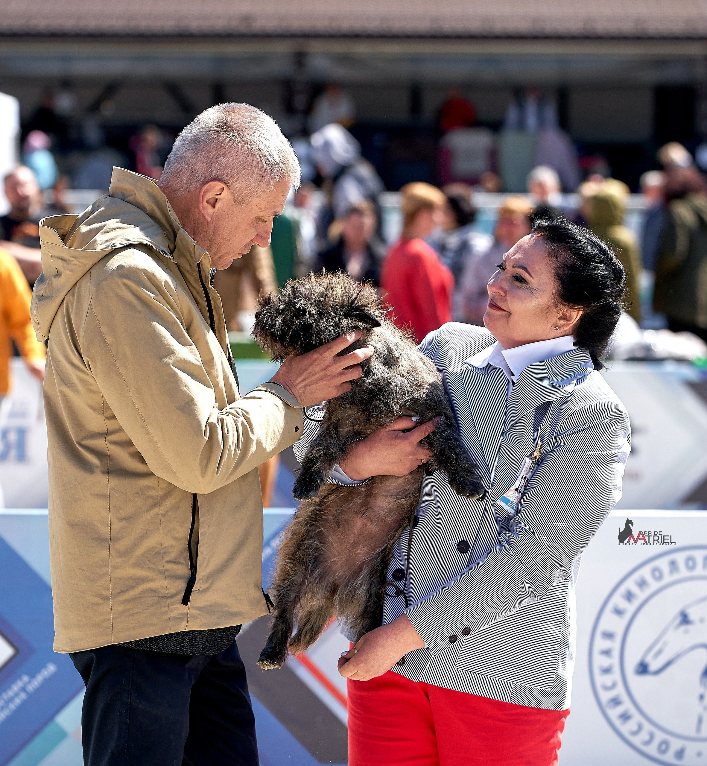 Призовые места — галерея NATRIEL