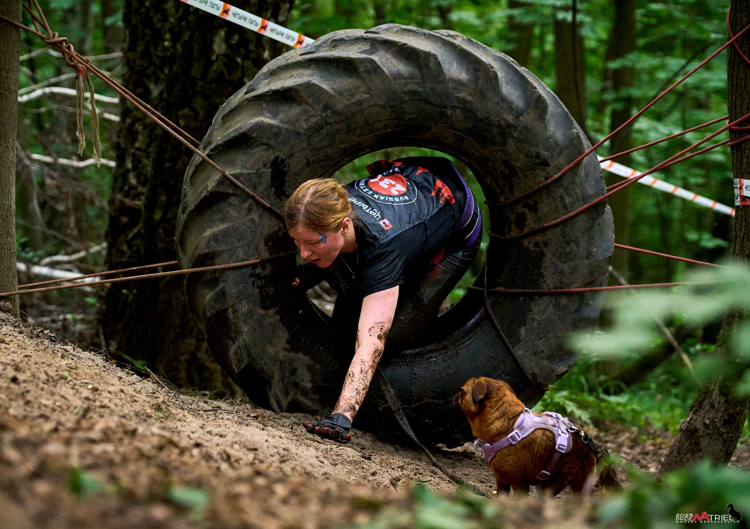 Russian Extreme Dog Trail — 2025