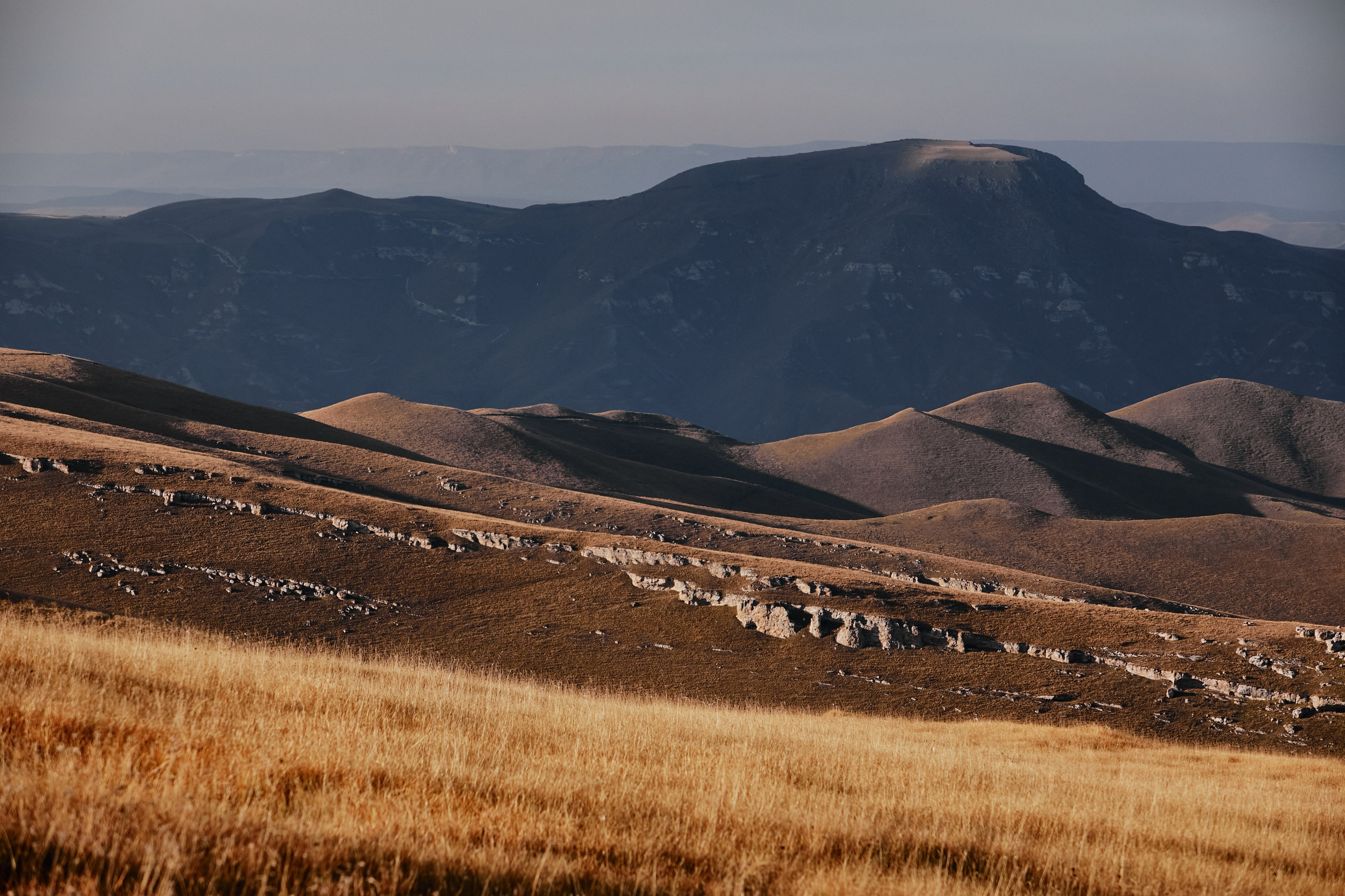 Лха 2500. Фотограф Продюсер в горах КБР / Москва  Нальчик Горы