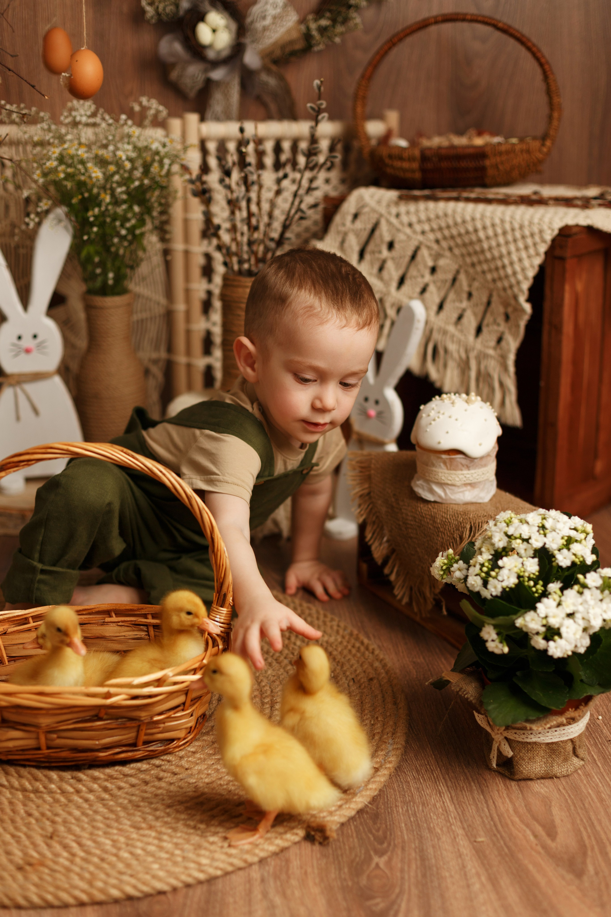 Фотопроекты. Фотограф новорождённых семейный фотограф Томск Елена Каплина