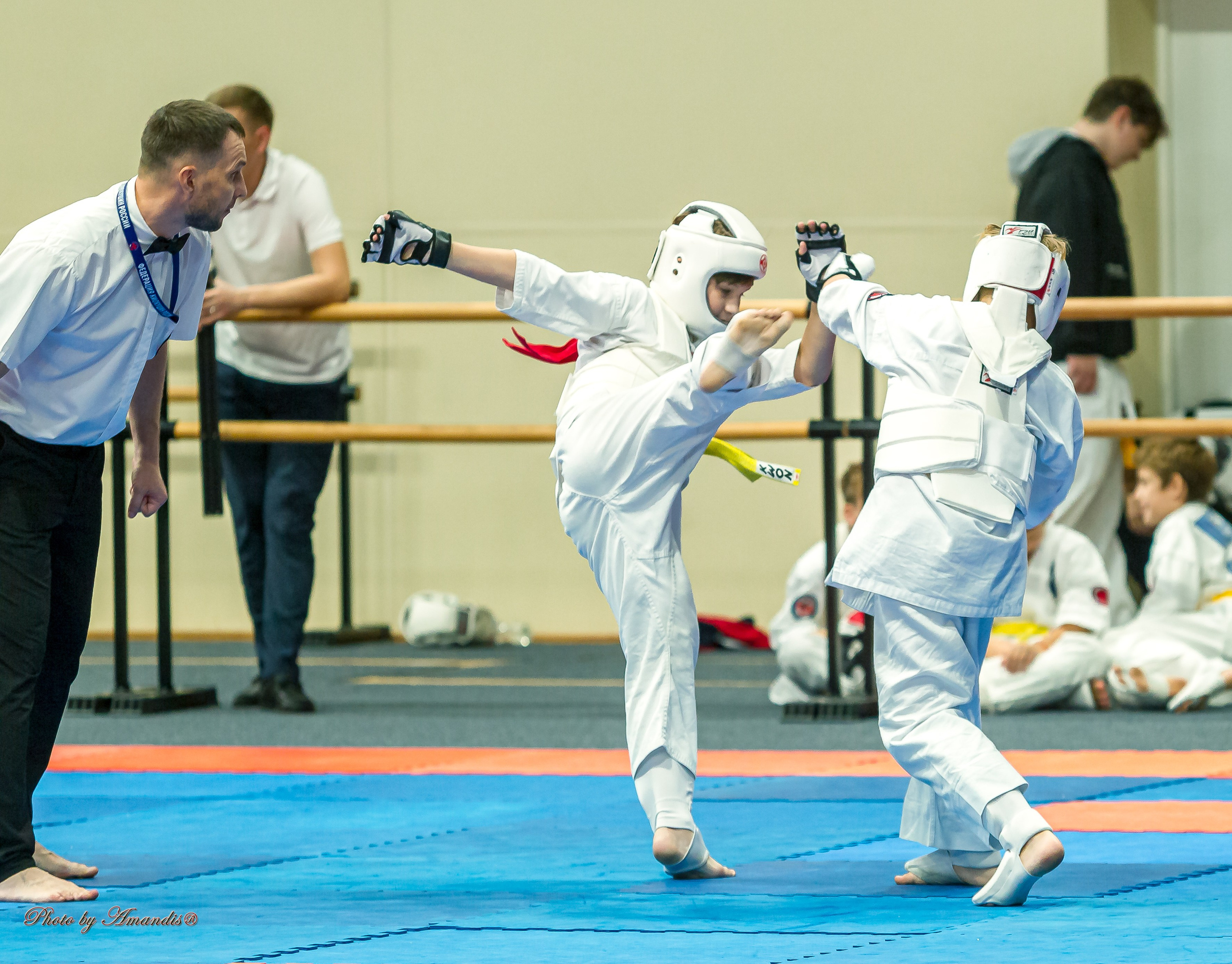 Первенство Московской области по Киокушин в СК «Жаворонки». Репортажная съемка в Москве и области. Анималистика