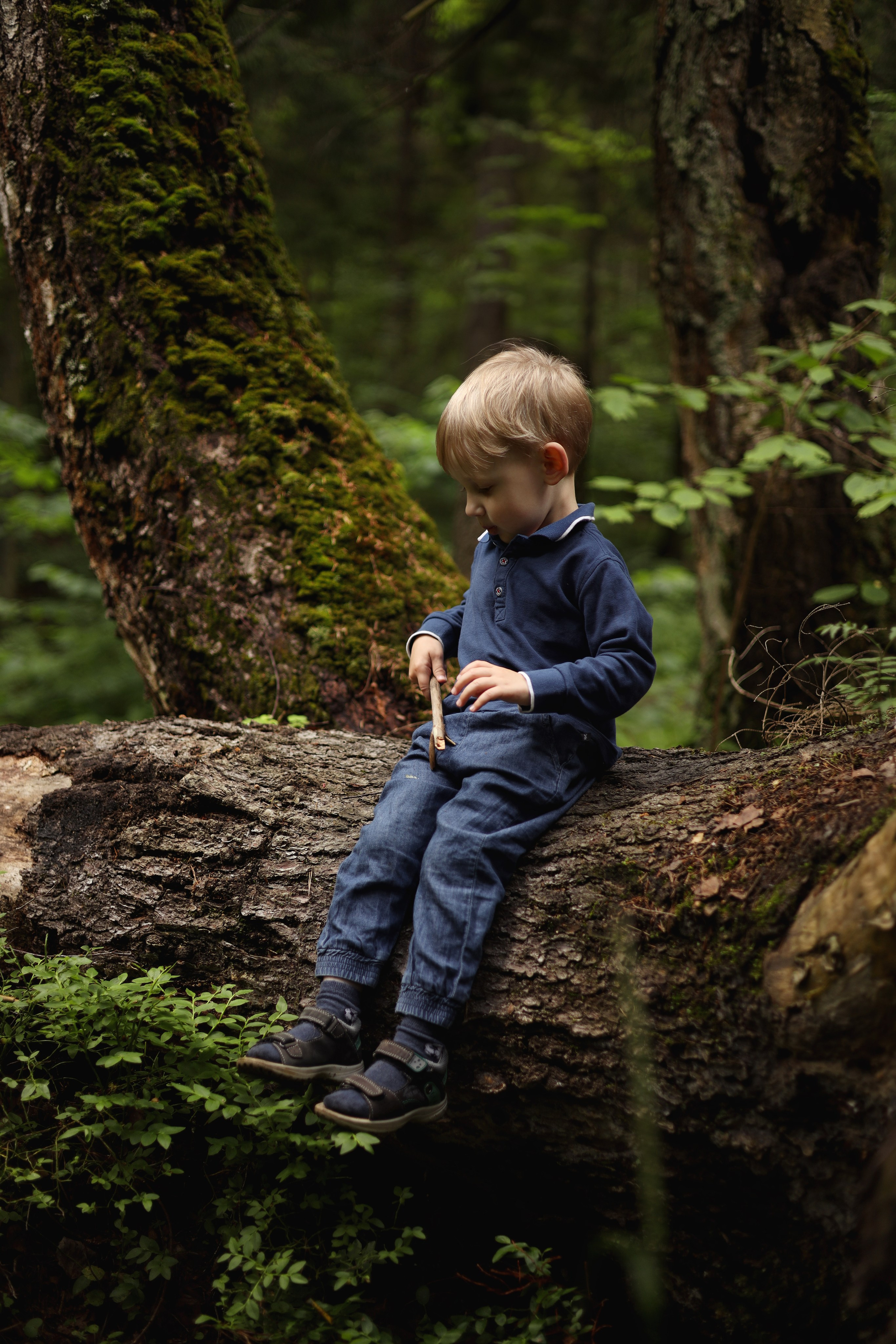 Детский портрет. Индивидуальный фотограф в Сергиевом Посаде Наталья Румянцева