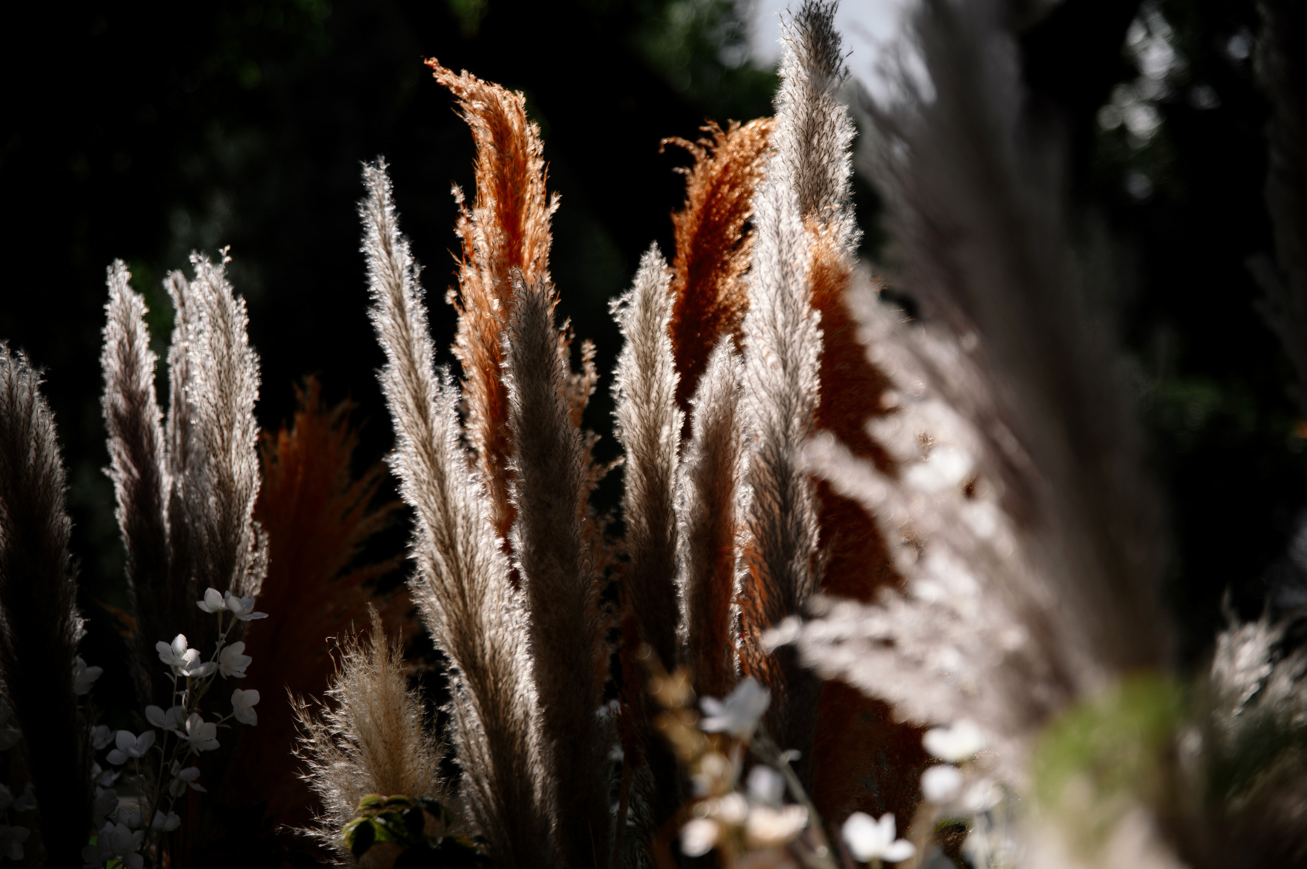 Евгений и Екатерина. Свадебный и Event фотограф в Москве | Андрей Губренко | Gubrenko