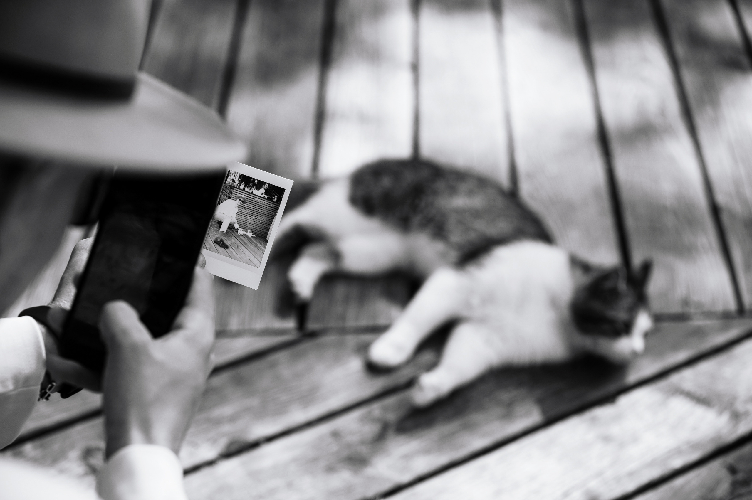 Никита и Алена. Свадебный и Event фотограф в Москве | Андрей Губренко | Gubrenko